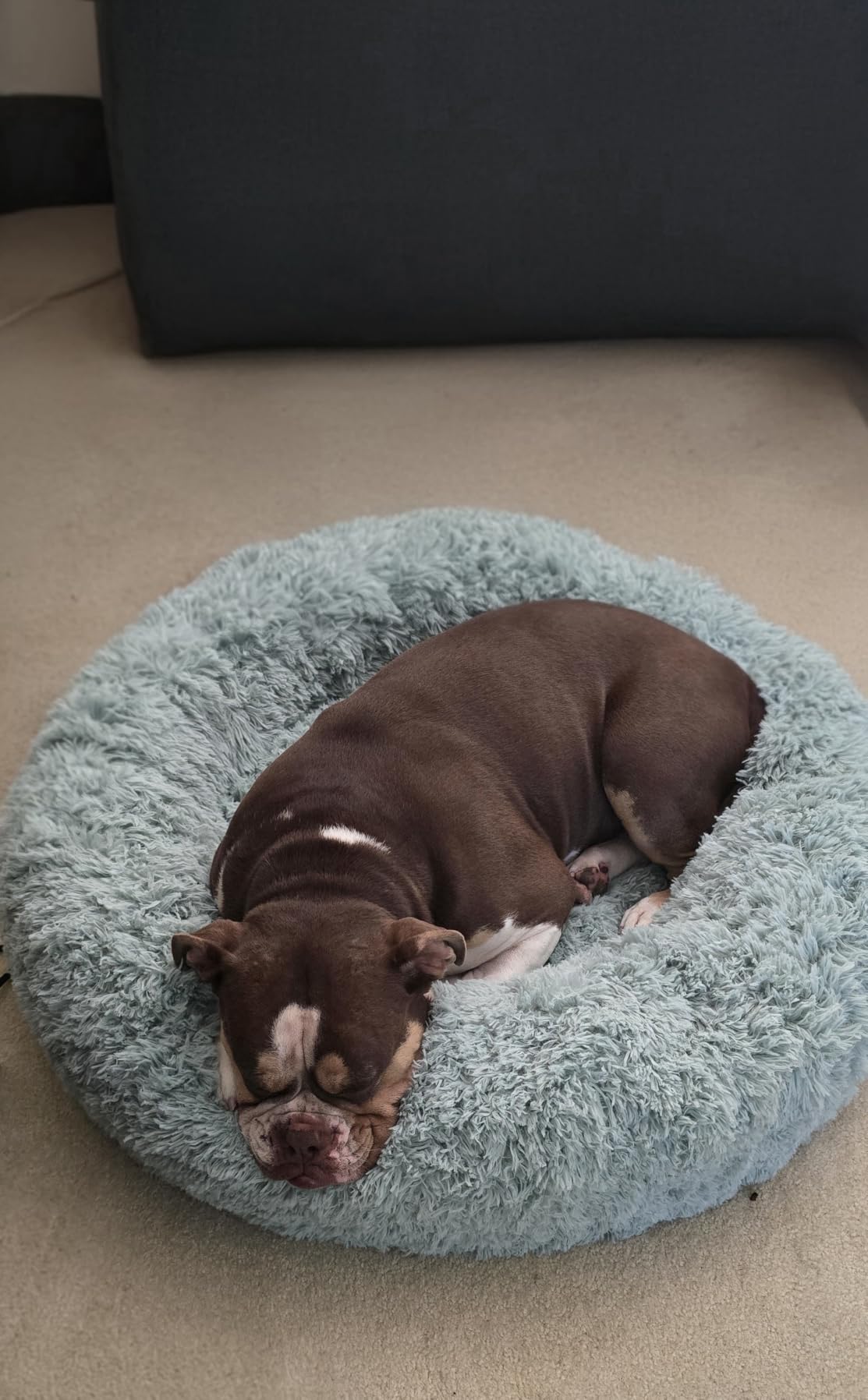 Bedsure Calming Dog Beds Large Sized Dog Donut Washable Pet Bed, 36ins Camel | Oprah Daily Award, Fluffy Faux Fur Round Cuddler, Removable Washable Cover, Anti-Slip Bottom, Anti-Anxiety, Up to 80 Lbs customer photo 1