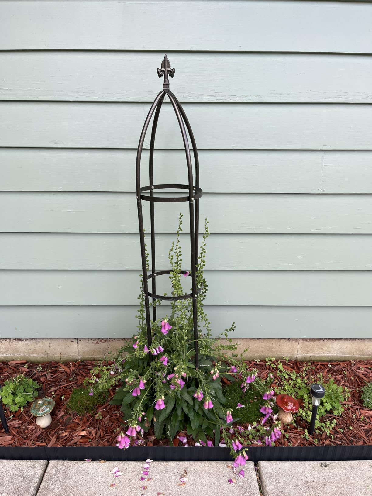 100% Metal Garden Obelisk Trellis Heavy Duty 6.3 ft Tall for Climbing Vines | Upgraded 16mm Thick Steel Tubes Rustproof Bronze Tower, 4.9lb Tall Plant Support Stands for Flowers, Roses, Clematis & Tomato customer photo 2