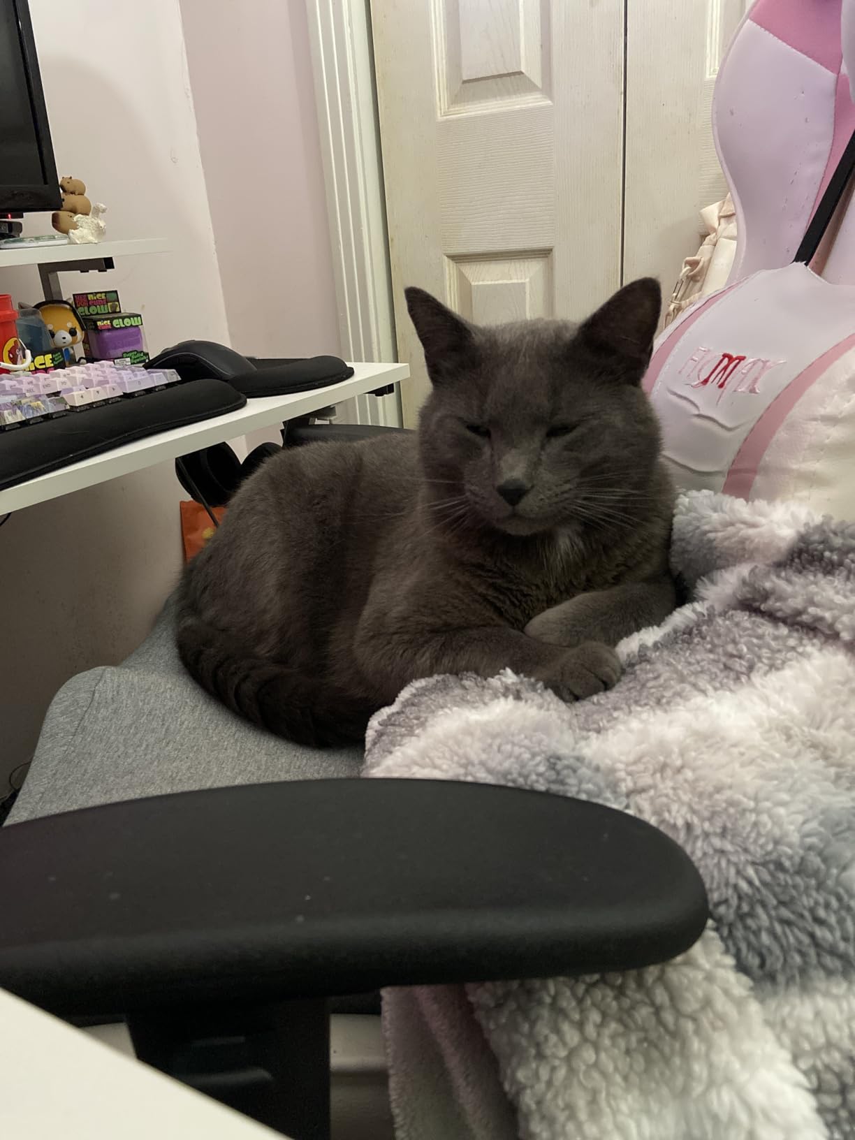 C CUSHION LAB Patented Pressure Relief Seat Cushion for Long Sitting Hours on Office/Home Chair, Car, Wheelchair - Extra-Dense Memory Foam for Hip, Tailbone, Coccyx, Sciatica - Wellness Green customer photo 2