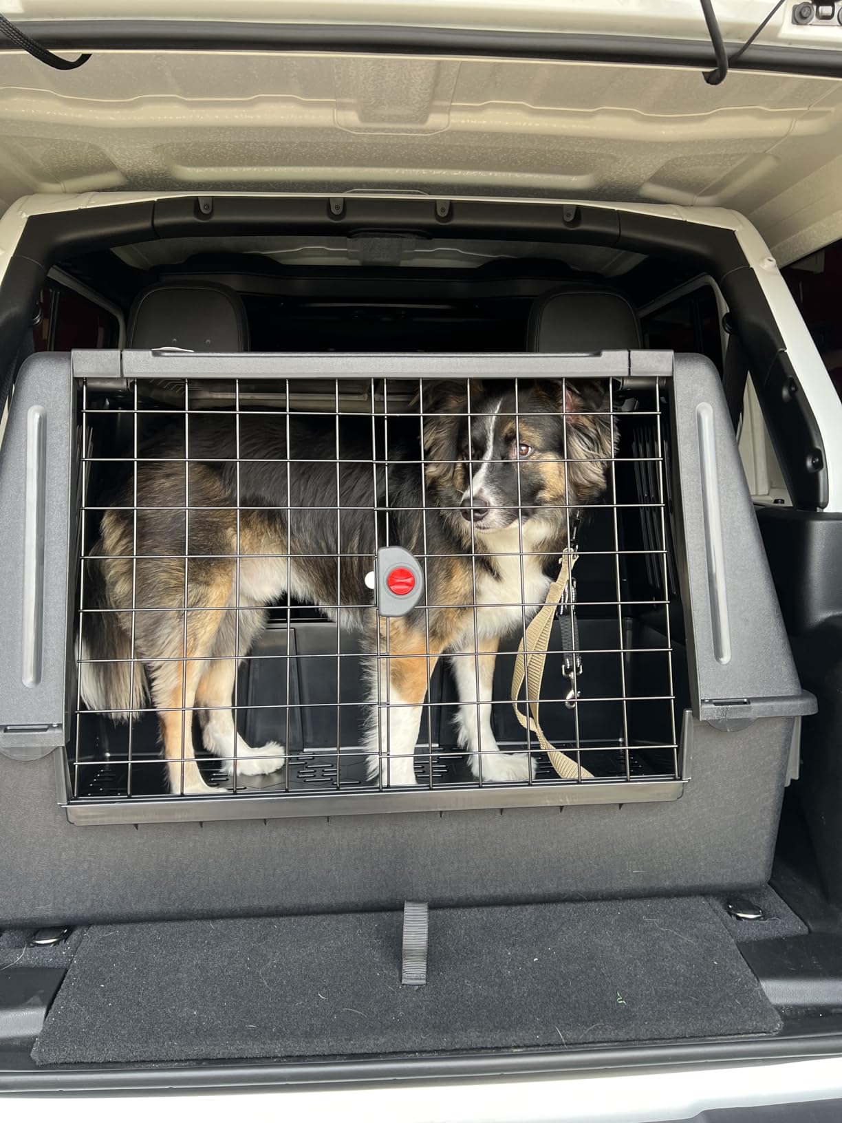 Ferplast Atlas Vehicle SUV Dog Crate, Assembled Car Dog Crate Measures 39L x 23W x 26H, Ideal for Medium to Intermediate Dog Breeds, Black customer photo 2