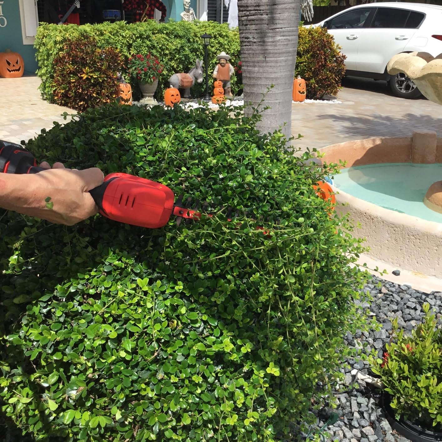 CRAFTSMAN V20 4 In. Cordless Handheld Grass Trimmer and 8 In. Mini Hedge Trimmer, Battery and Charger Included, Rechargeable 2 in 1 Grass Shear and Bush Trimmer (CMCSS800C1) customer photo 2