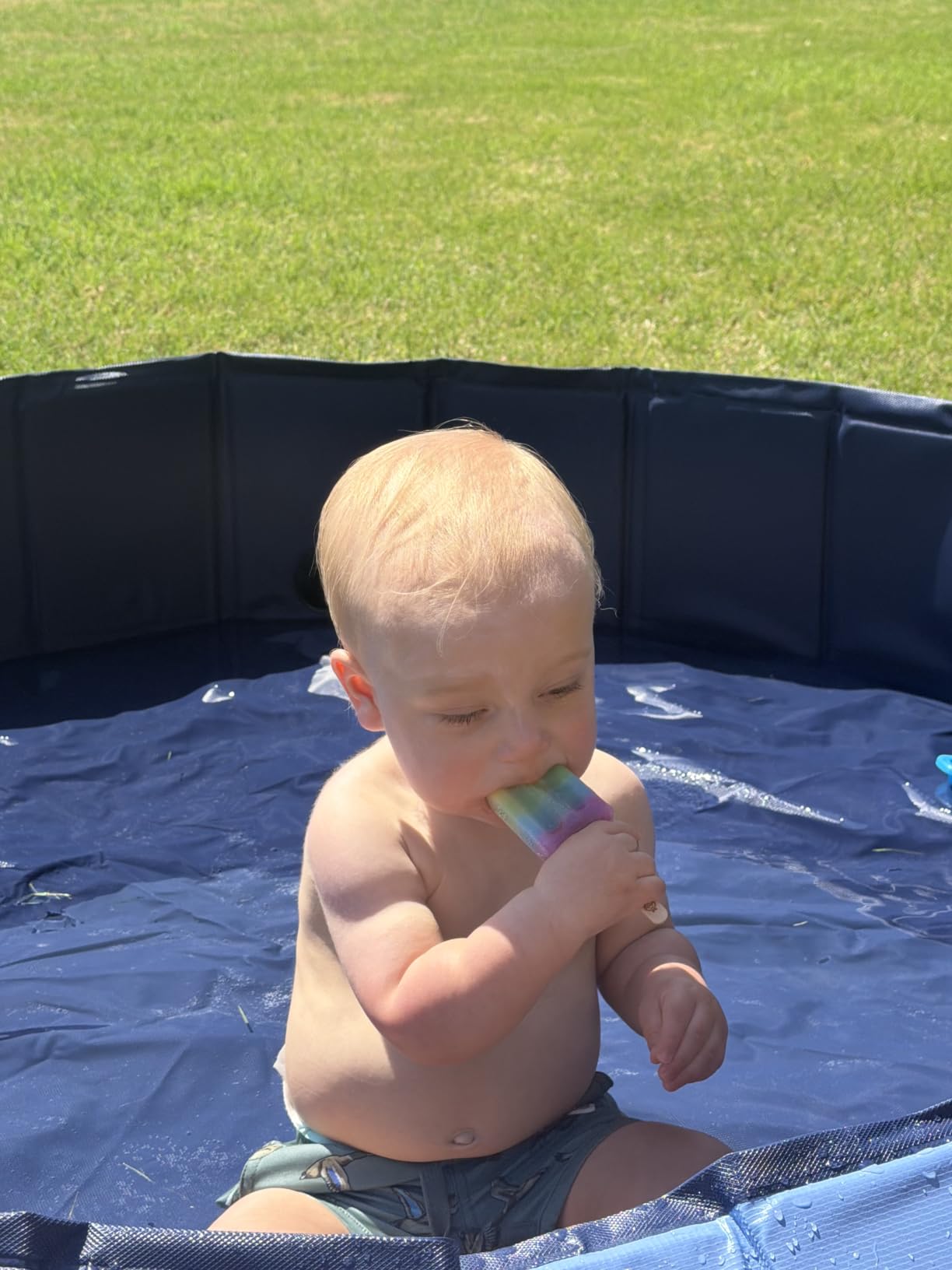 Jecoo Dog Pool for Large Dogs Kiddie Pool Hard Plastic Foldable Dog Bathing Tub Portable Outside Kids Swimming for Pets and Dogs Outdoor Backyard customer photo 2