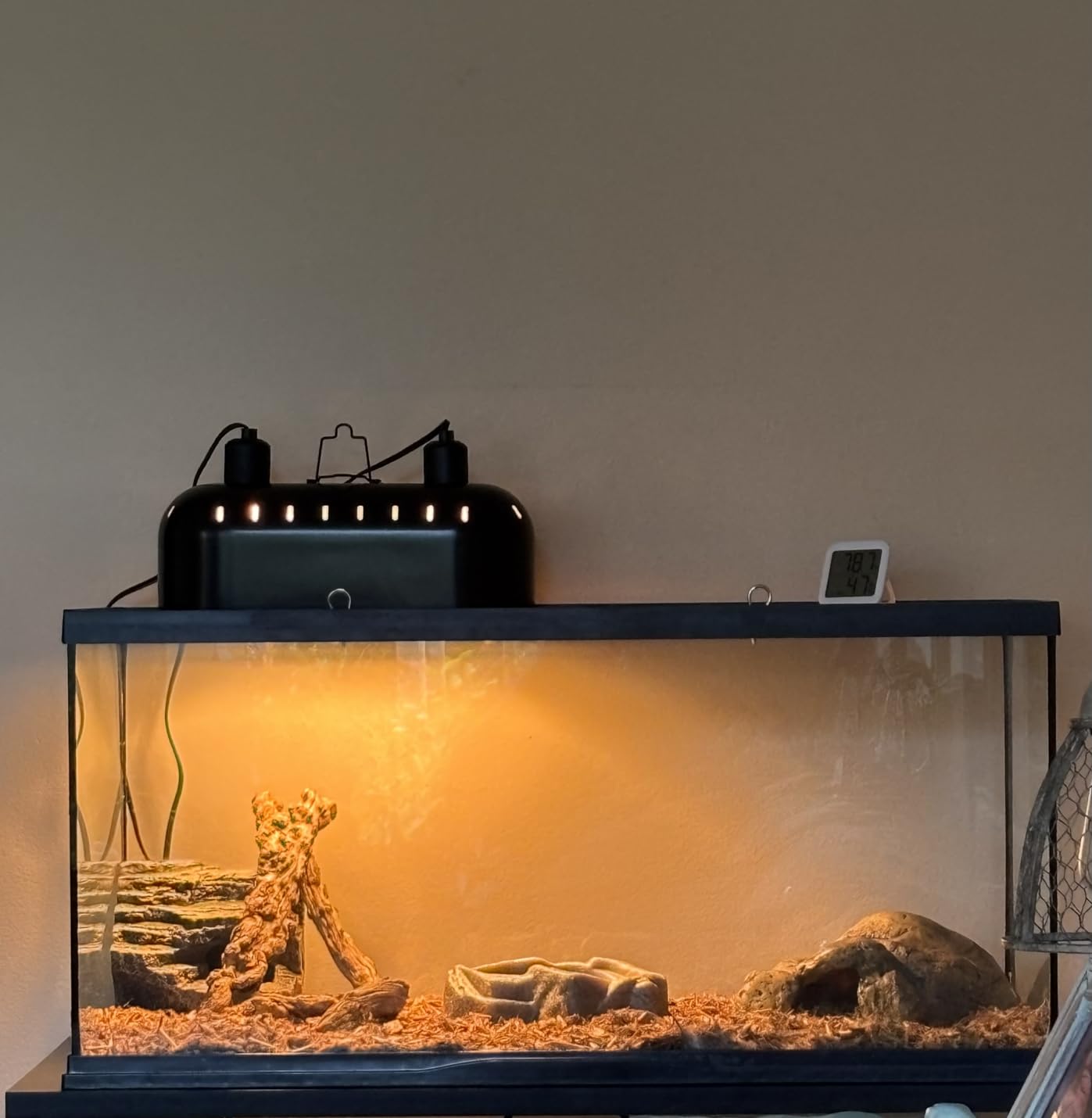 DXOPHIEX 15inch Dual Reptile Light Fixture Dual Reptile Heat Lamp | Max 150W, Separate Switches, Double Dome Lamp UVB Light Fixture for Bearded Dragon, Turtles, Snake and Lizard Terrarium customer photo 1