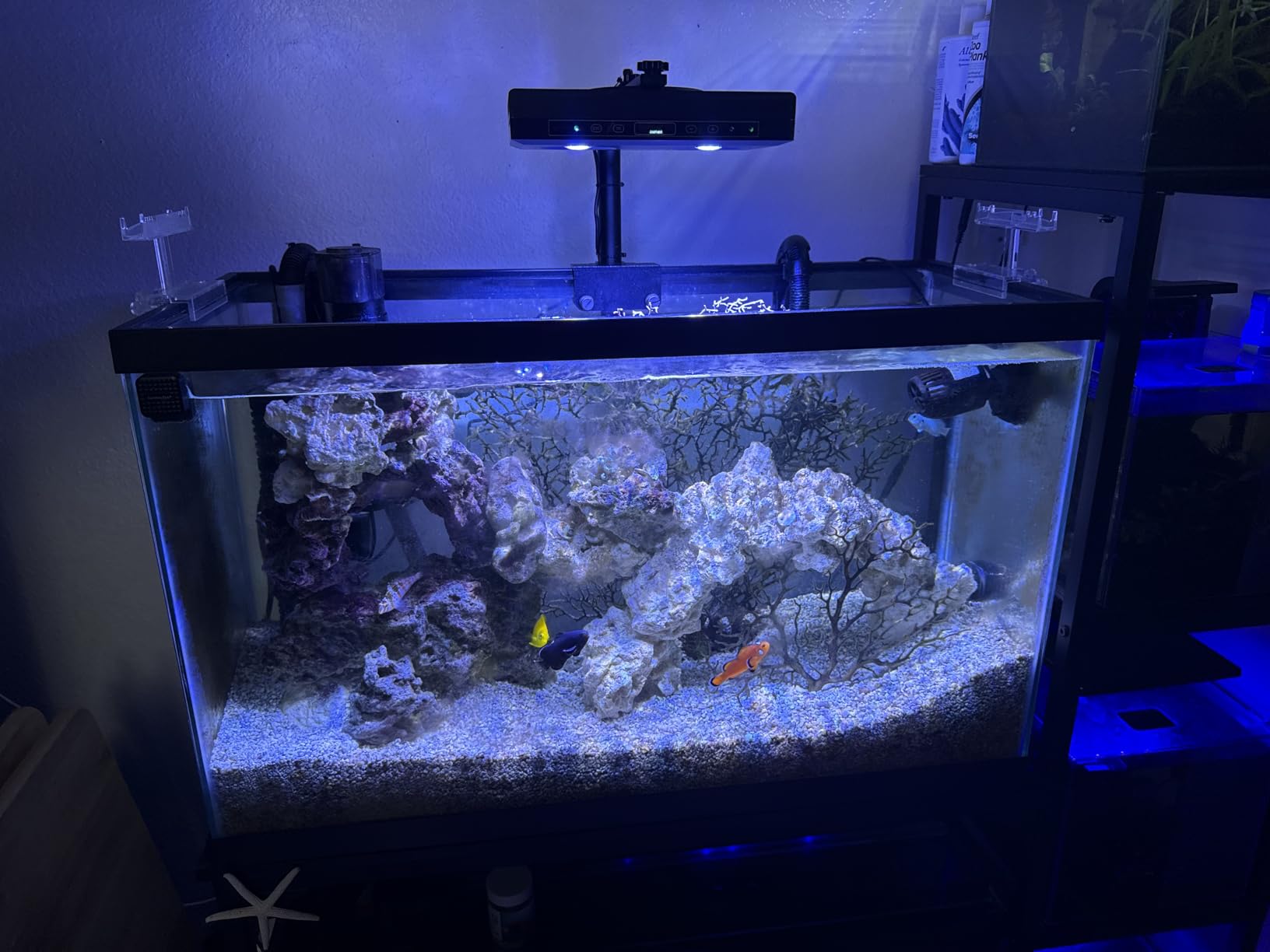 Aquarium Light - 95 Watt Sunrise Sunset Moonlight, Group Control Program Coral Reef Light Dimmable Full Spectrum for Marine Tanks, Saltwater Tank Light with Timer (Brackets) customer photo 2