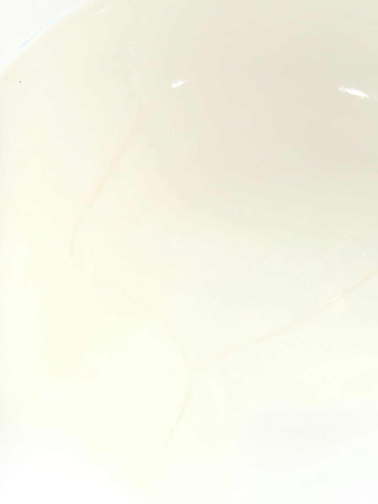 Mikasa Annabelle Bone China Dinnerware Set, 40-Piece Service for 8, White Hobnail Detail, Dinner Plates, Salad Plates, Bowls and Mugs, Dishwasher and Microwave Safe customer photo 1
