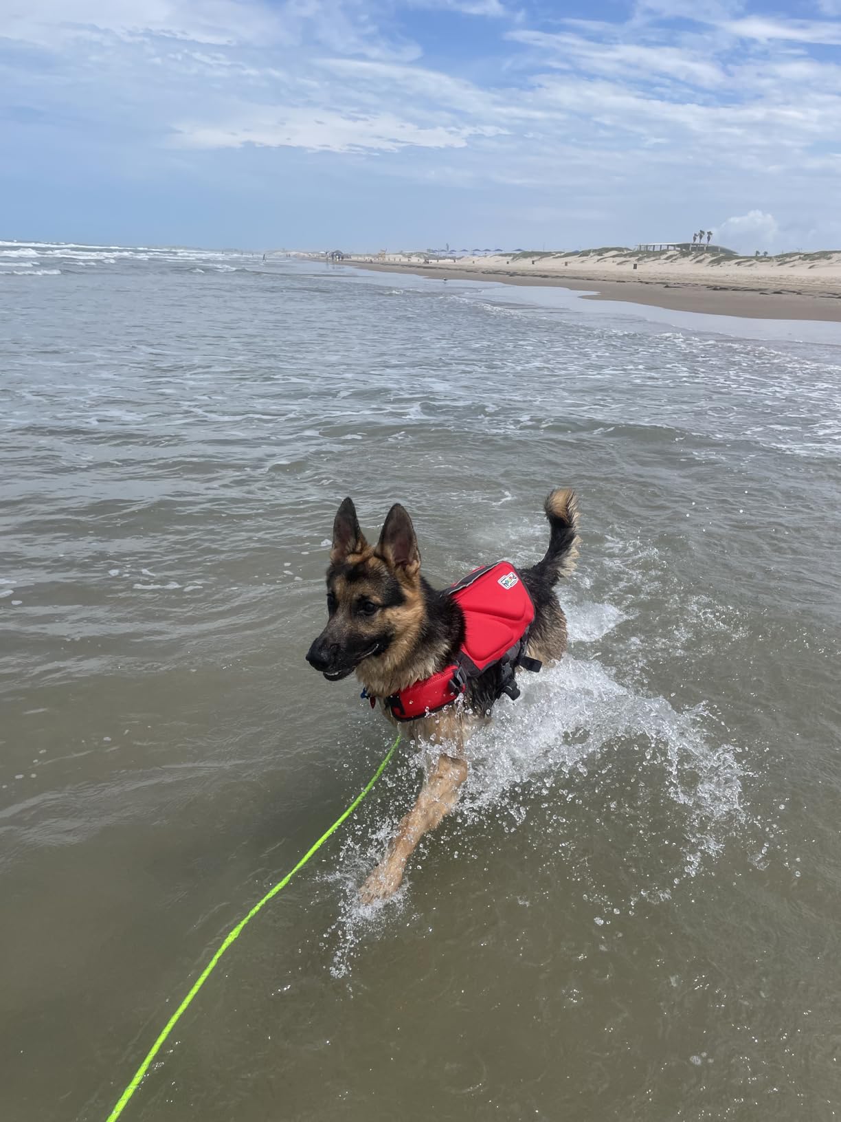 Outward Hound Dawson Swim Dog Life Jacket, High-Performance Neoprene Dog Life Vest for Swimming, Boating, and Water Safety, XL, Green customer photo 2