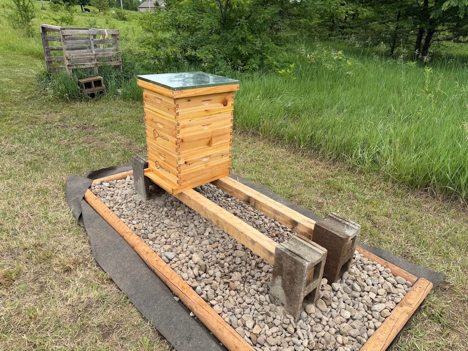 BeeCastle 10 Frame Langstroth Bee Hive Coated with Beeswax Includes Beehive Frames and Waxed Foundations (2 Deep Boxes & 1 Medium Box) customer photo 2