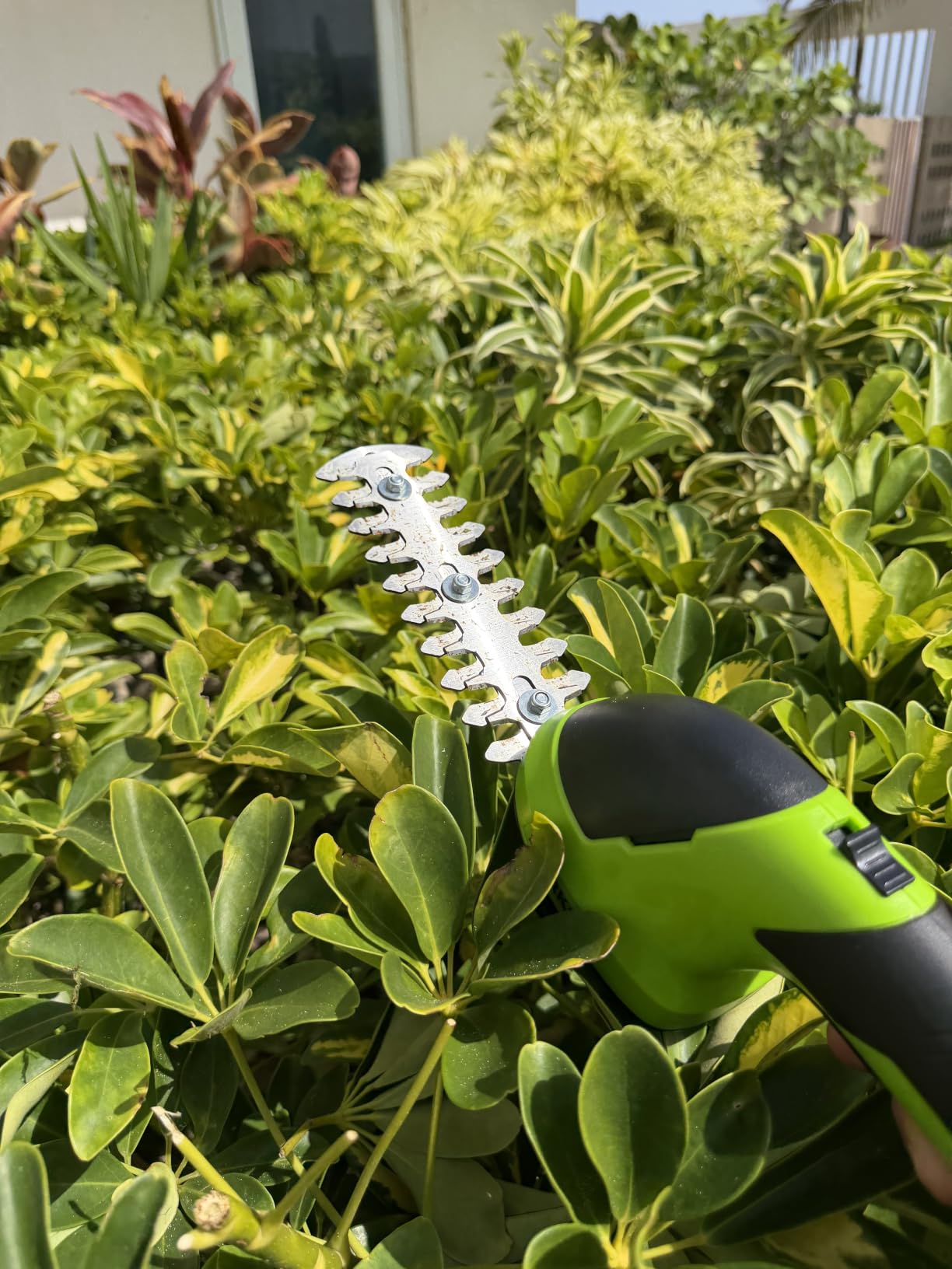 WORKPRO 7.2V Cordless Grass Shear & Shrubbery Trimmer | 5.9