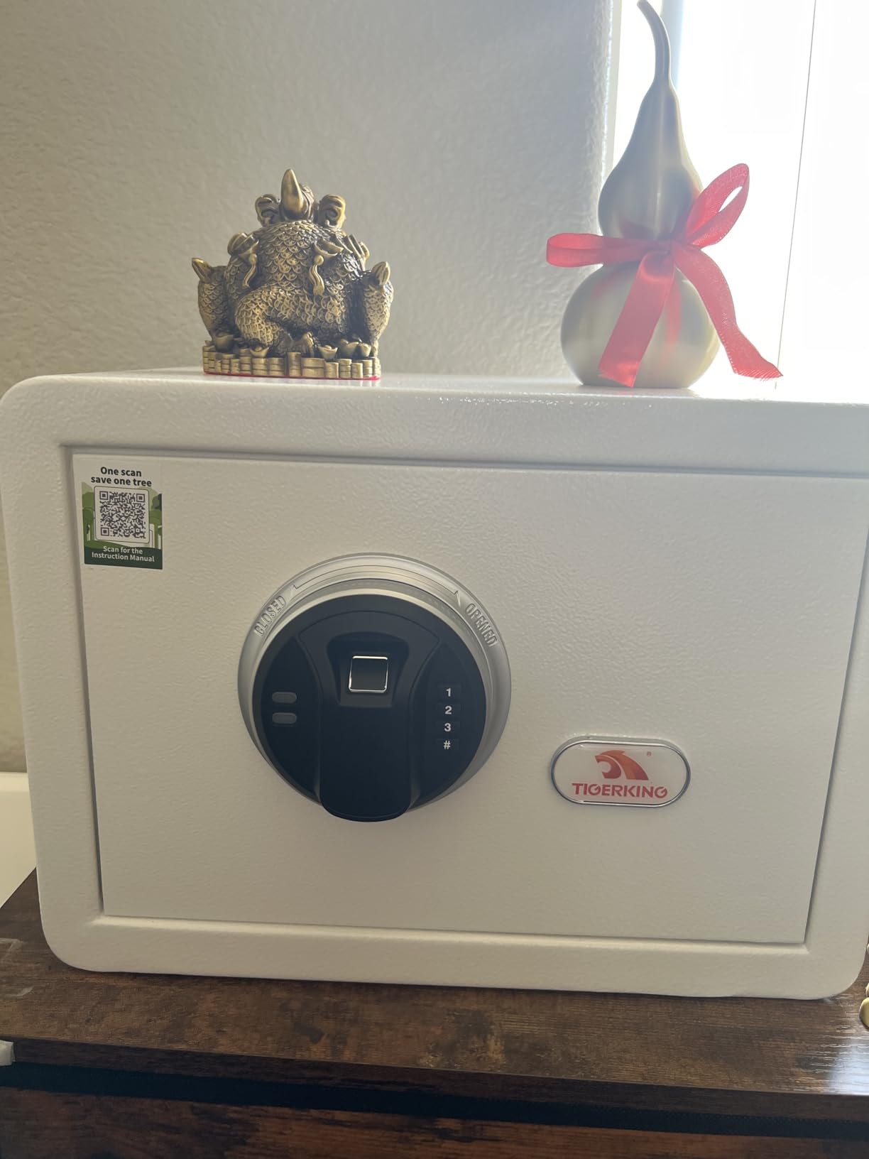 TIGERKING Biometric Small Home Safe with key and digital keypad | 20 lb white Safe Box with Steel Body, 1.2 Cu Ft, 3-Way Access, Dual Locking Bolts, Removable Shelf customer photo 1