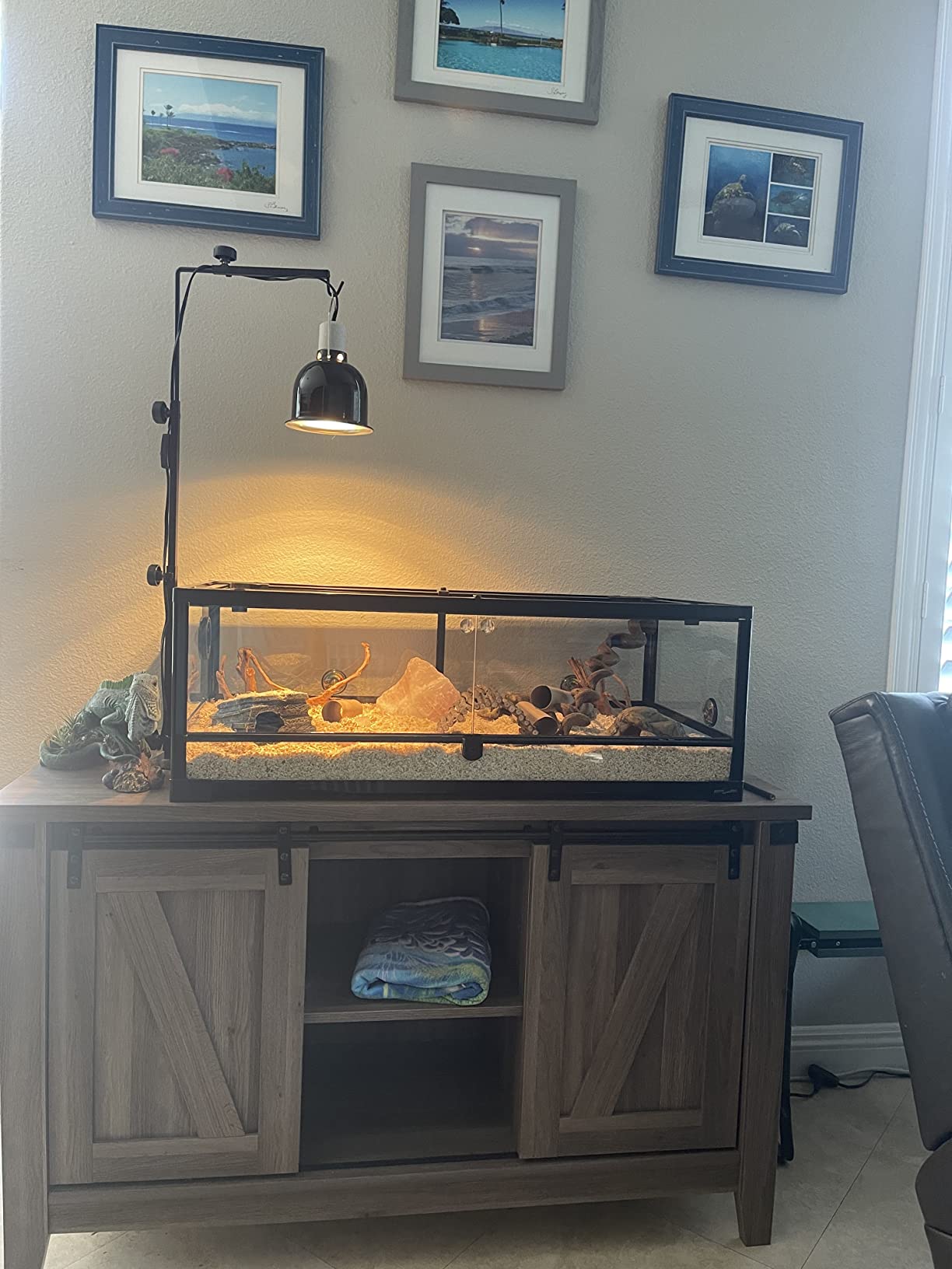 Full Glass 35 Gallon Reptile Tank, Front Opening Wide & Low Reptile Terrarium 36
