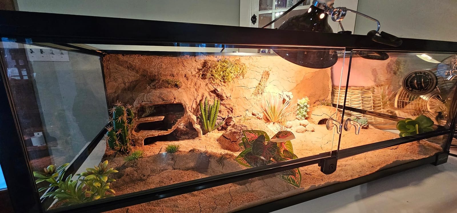 Full Glass 35 Gallon Reptile Tank, Front Opening Wide & Low Reptile Terrarium 36