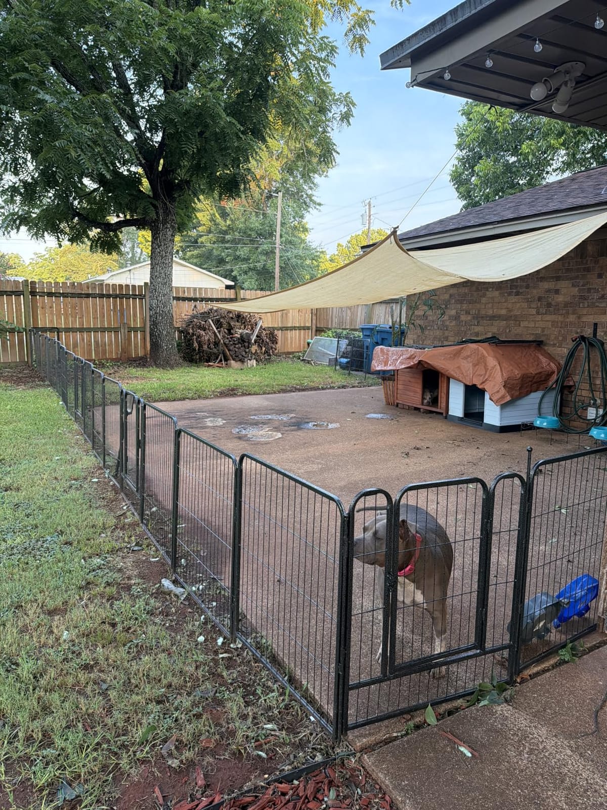 Dog Playpen, 32/40/45 Inch Height Heavy Duty, Folding Indoor Outdoor Anti-Rust Dog Exercise Fence, Portable Pet Playpen with Door for Large Medium Small Dogs and Pet (16 Panels, 32 Inch) Silver customer photo 1