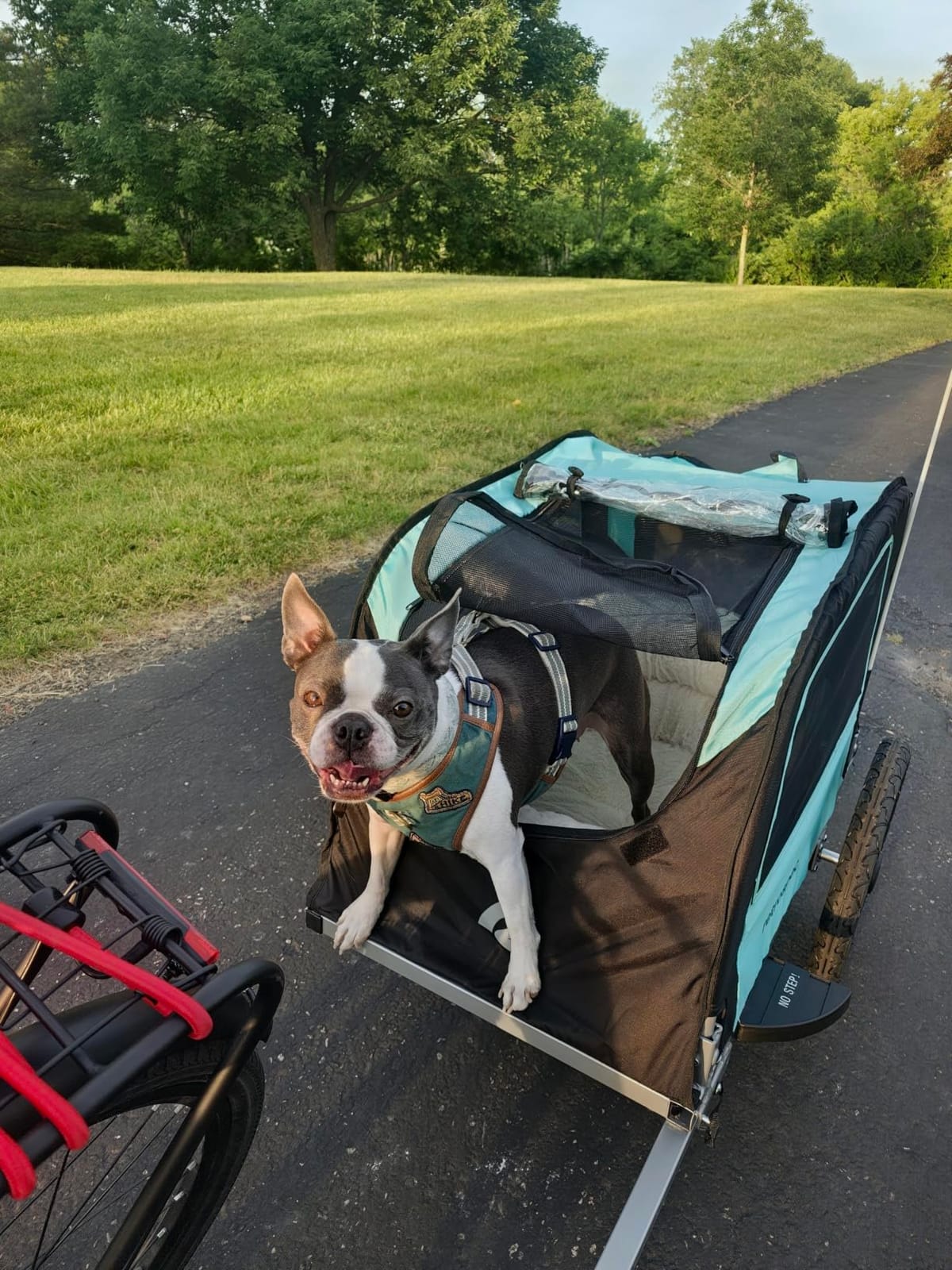 Retrospec Rover Waggin' Pet and Dog Bike Trailer with Weather-Resistant Canopy & Mesh Shield - Foldable Frame, 16in Wheels with Storage Pouch & Internal Safety Leash Supports up to 50 lbs customer photo 2