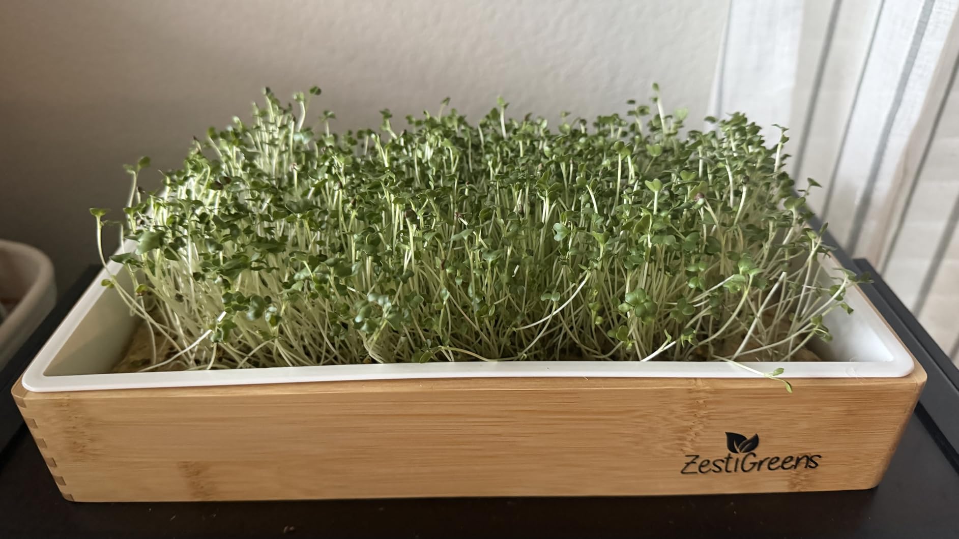 Microgreens Growing Kit - Self-Watering Tray with US Premium Seeds | Grow broccoli and salad mix indoors with a reusable tray, grow mats, USA premium seeds & bamboo frame. customer photo 1
