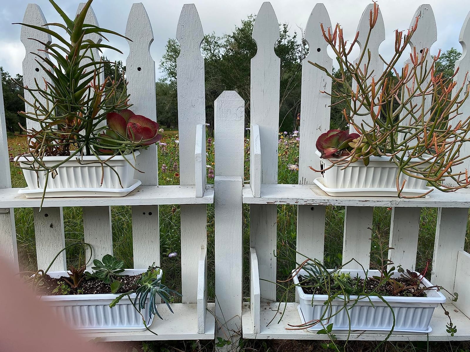 Fasmov 7 Pack 17 Inches Flower Window Box Plastic Vegetable Planters with Trays Vegetables Growing Container Garden Flower Plant Pot with 7 Pcs Plant Labels for Balcony, Patio, Garden, Black customer photo 2