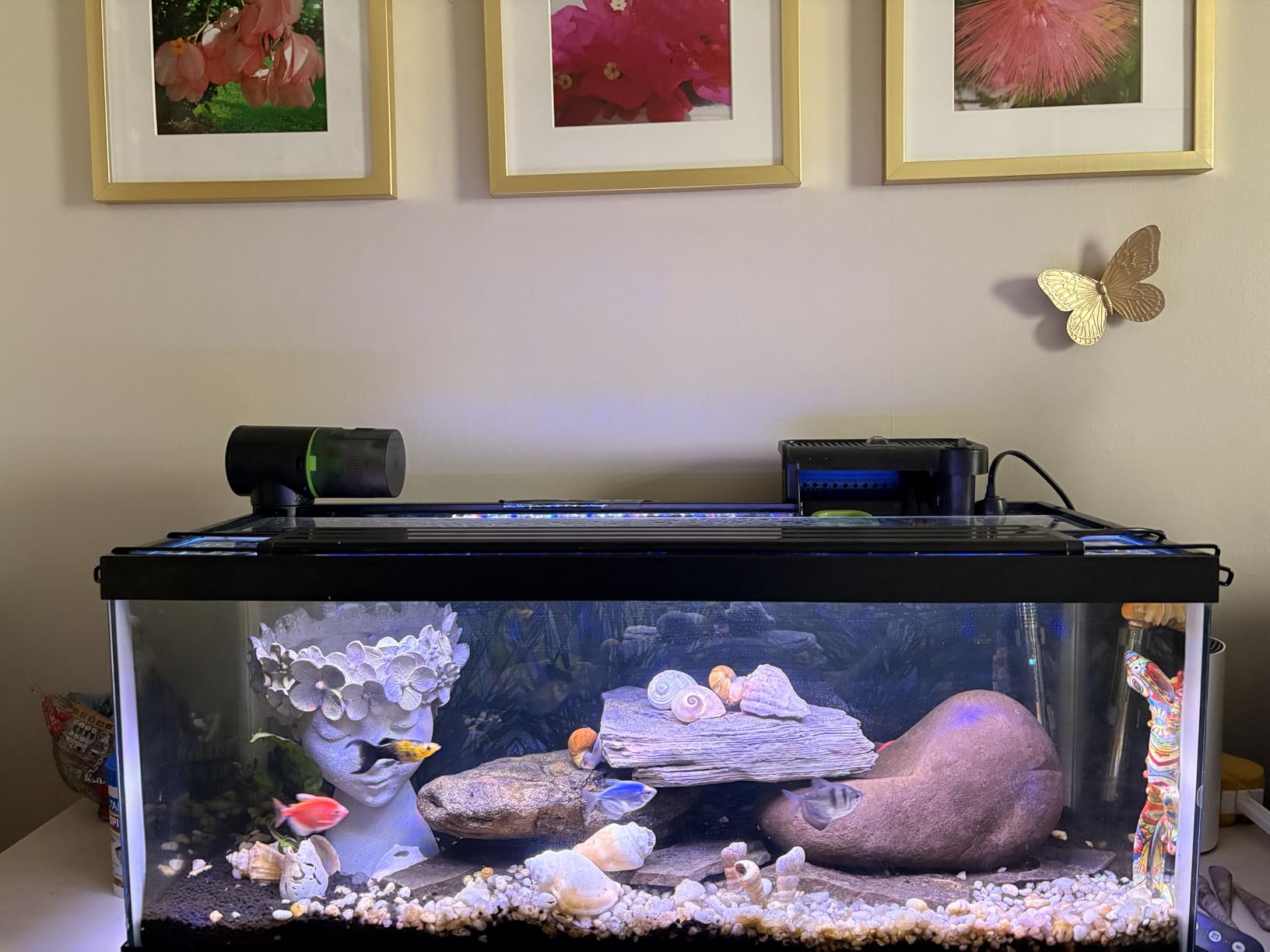 Freesea Automatic Fish Feeder for Aquarium: One-Touch Easy Setup & 3 Timers | 7-14 Day Supply with 200ML Food Dispenser - Worry-Free Vacation Feeding for Betta Turtle Tank customer photo 2