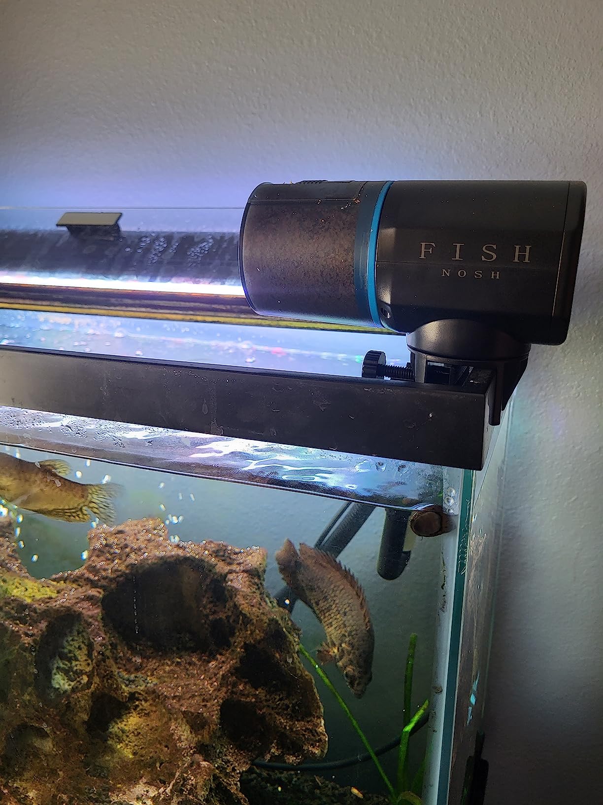 FISHNOSH Automatic Fish Feeder for Aquarium - New Generation 2026, Auto Food Dispenser with Timer for Small Tank, Big Aquariums & Pond (Blue) customer photo 1