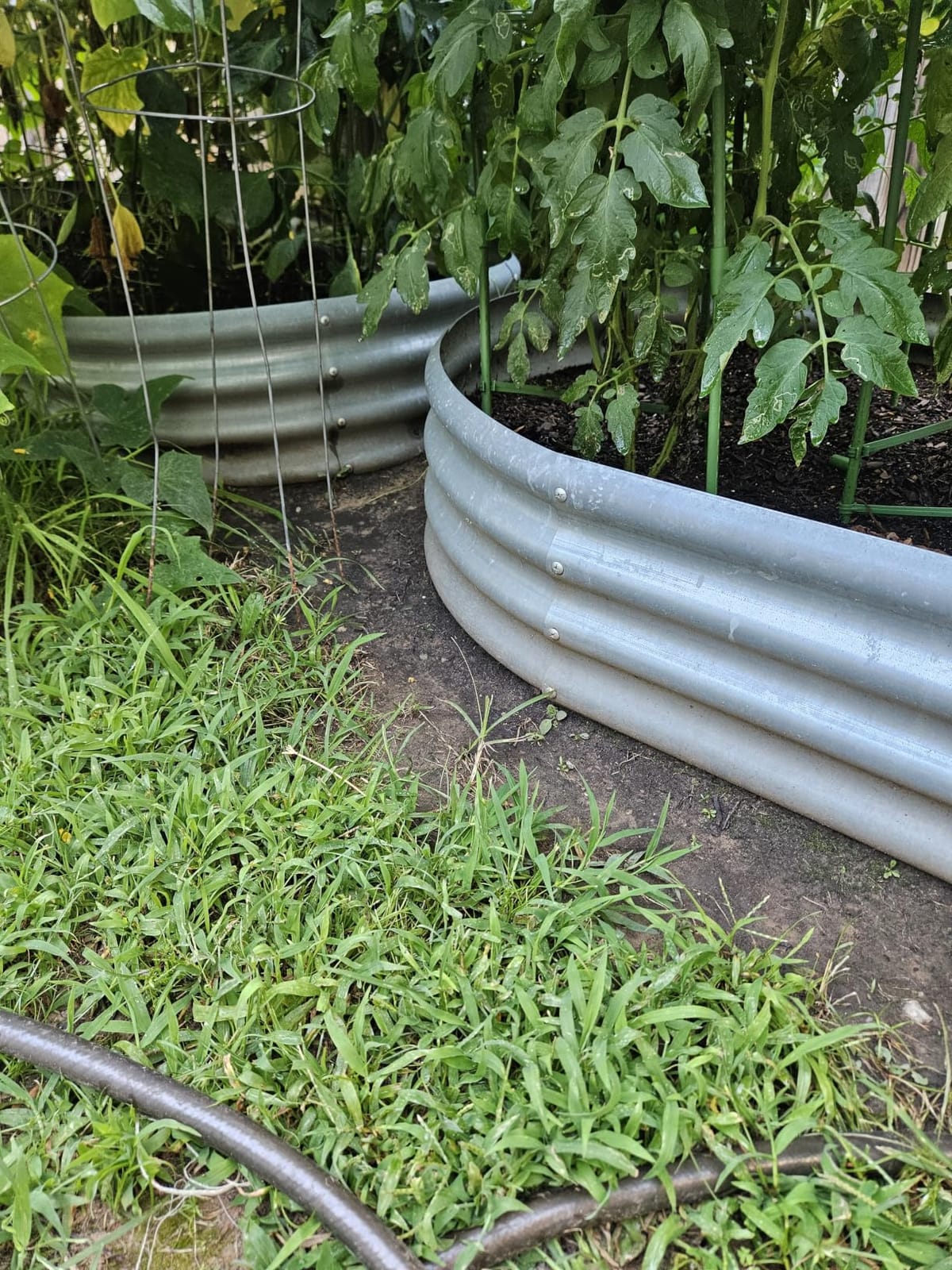 Land Guard Galvanized Raised Garden Bed Kit, Galvanized Planter Garden Boxes Outdoor, Oval Large Metal Raised Garden Beds for Vegetables customer photo 2