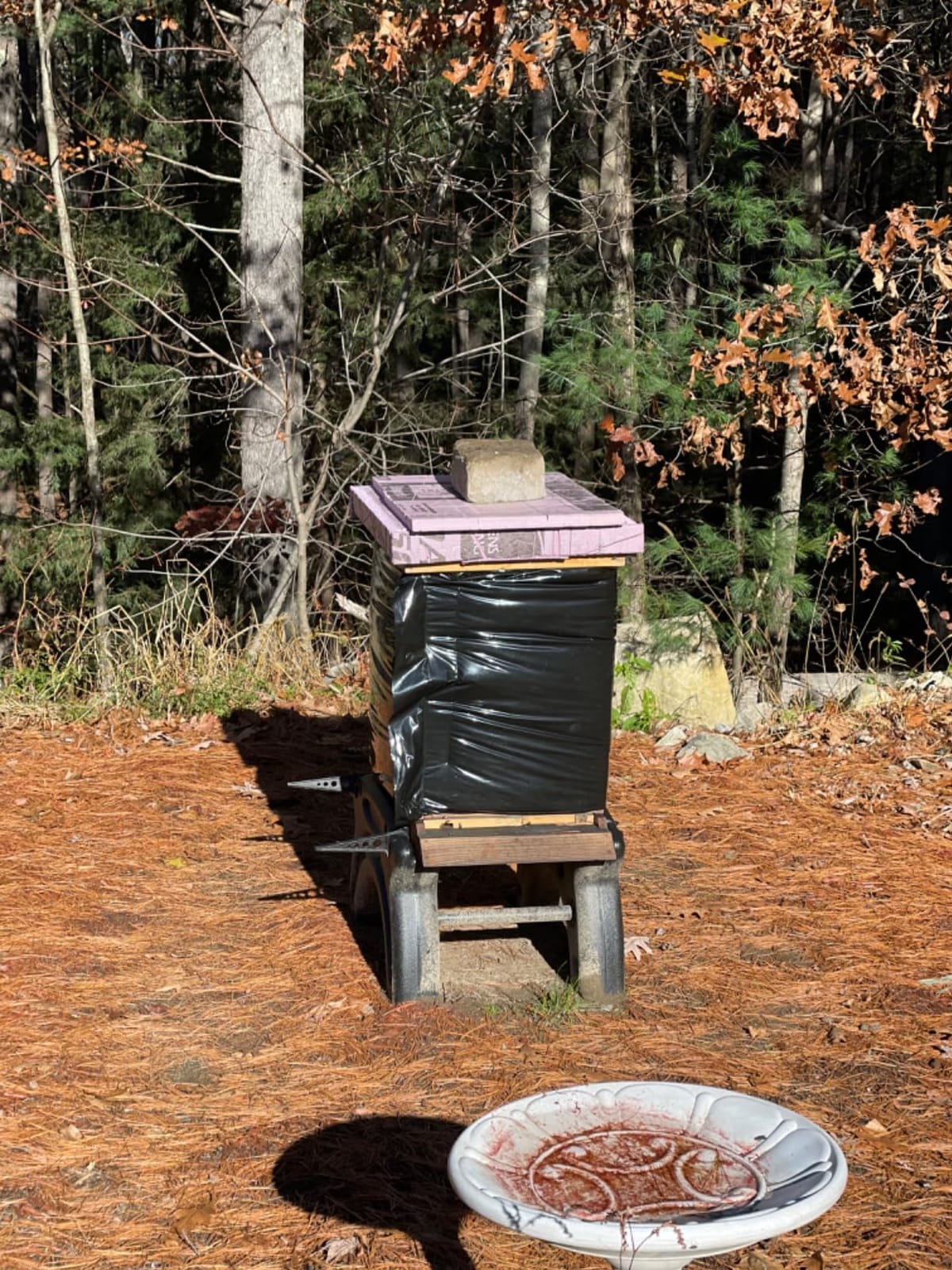 Hive Wrap 8 Frame Double (2 Storey) customer photo 1