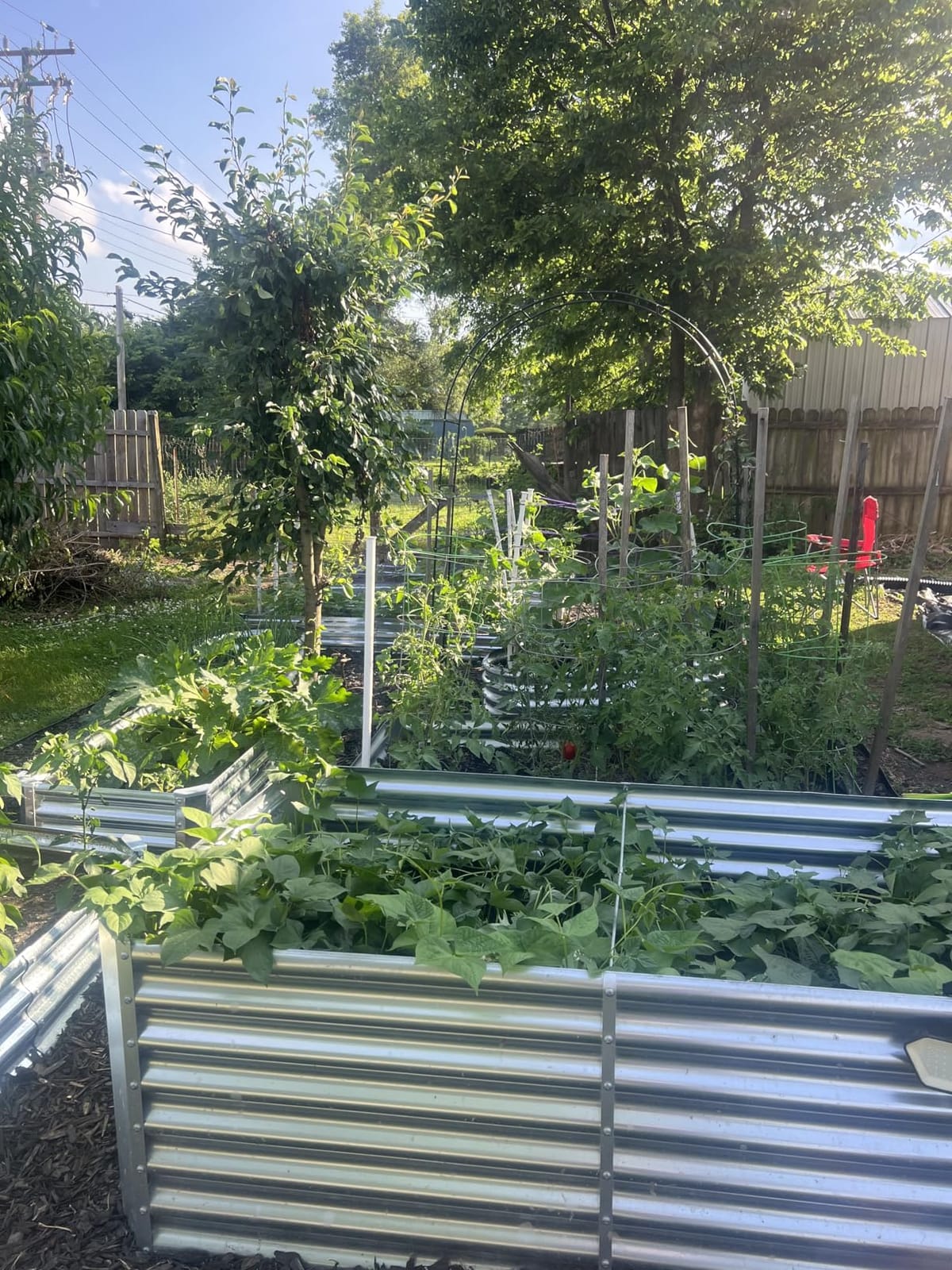 Land Guard 8x4x2 ft Galvanized Raised Garden Bed Kit, Galvanized Planter Raised Garden Boxes Outdoor, Large Metal Raised Garden Beds for Vegetables. customer photo 1