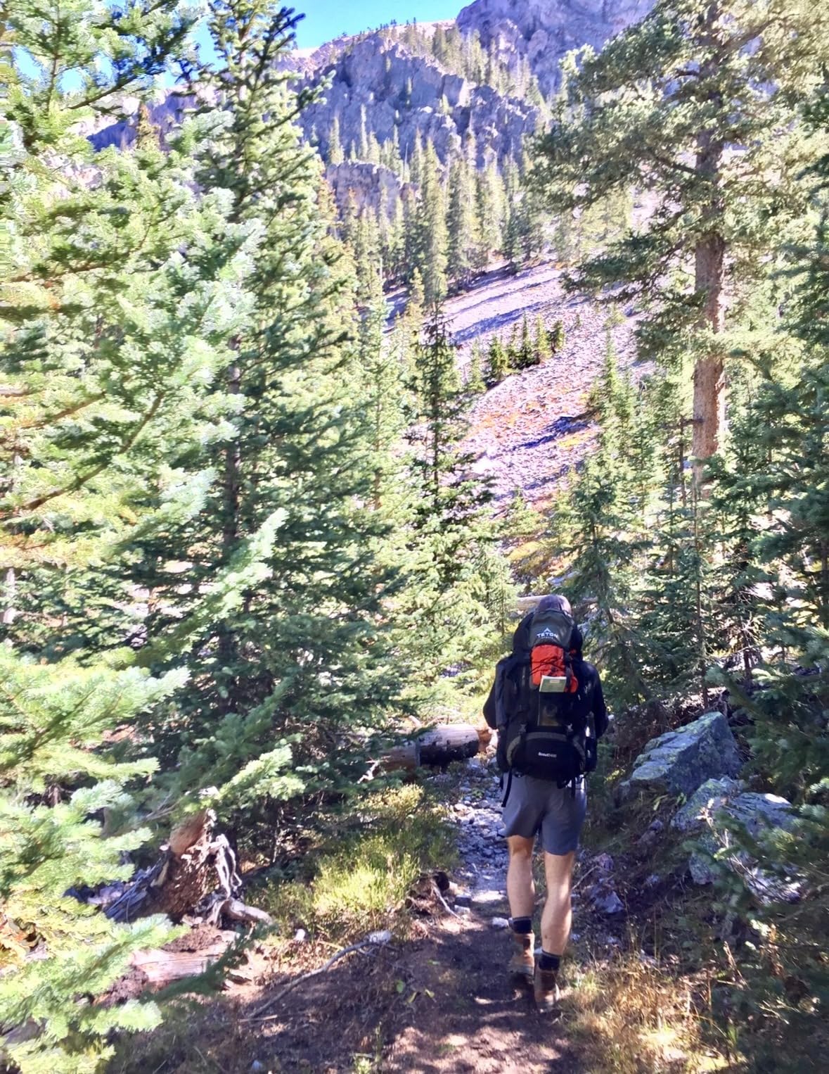 Teton 65L Scout Internal Frame Backpack for Hiking, Camping, Backpacking, Travel, Rain Cover Included, Buck Brown customer photo 2