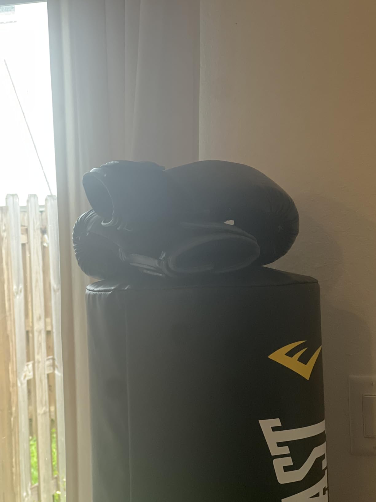 Everlast Powerlock 2 Hook & Loop Boxing Gloves | Fight Training Gloves | Hook and Loop with Durable Hand & Wrist Support | Heavy Bag & Fitness Training customer photo 2