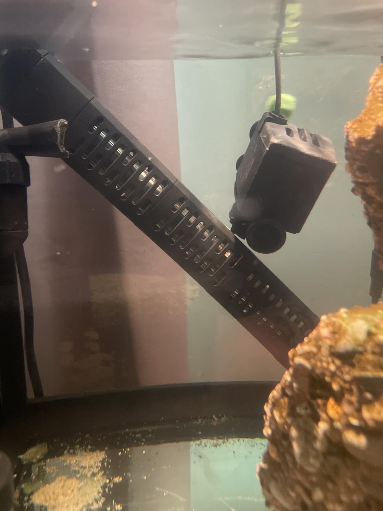 HiTauing Aquarium Heater, 50W/100W/200W/300W/500W Submersible Fish Tank Heater with Over-Temperature Protection and Automatic Power-Off When Leaving Water for Saltwater and Freshwater customer photo 2