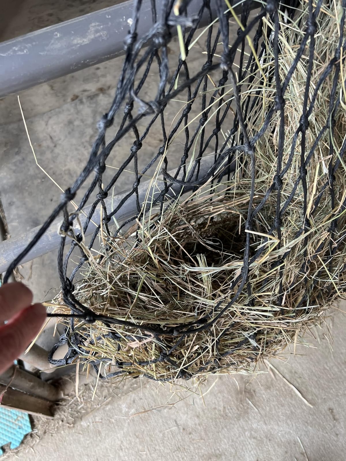 Harrison Howard Slow Feed Hay Net for Horses, 40 Inch Hay Bag Holds 1-2 Flakes, 2 Inch Mesh Durable Hanging Feeder for Stable, Pasture & Livestock - Grass Green customer photo 2