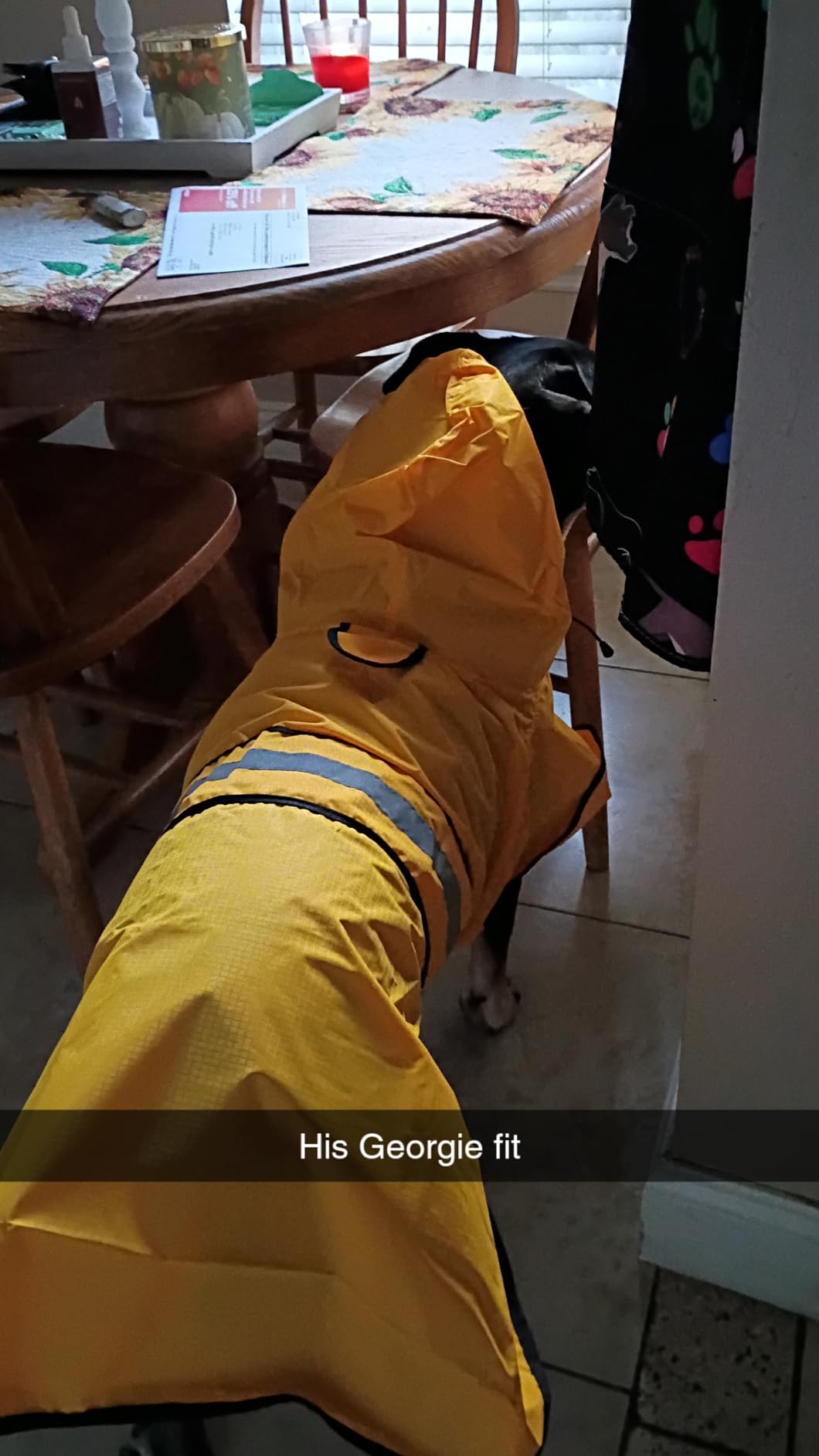 Weesiber Dog Raincoat, Adjustable Dog Rain Jacket Hooded Poncho Slicker, Reflective Pet Rain Coat for Walking customer photo 2