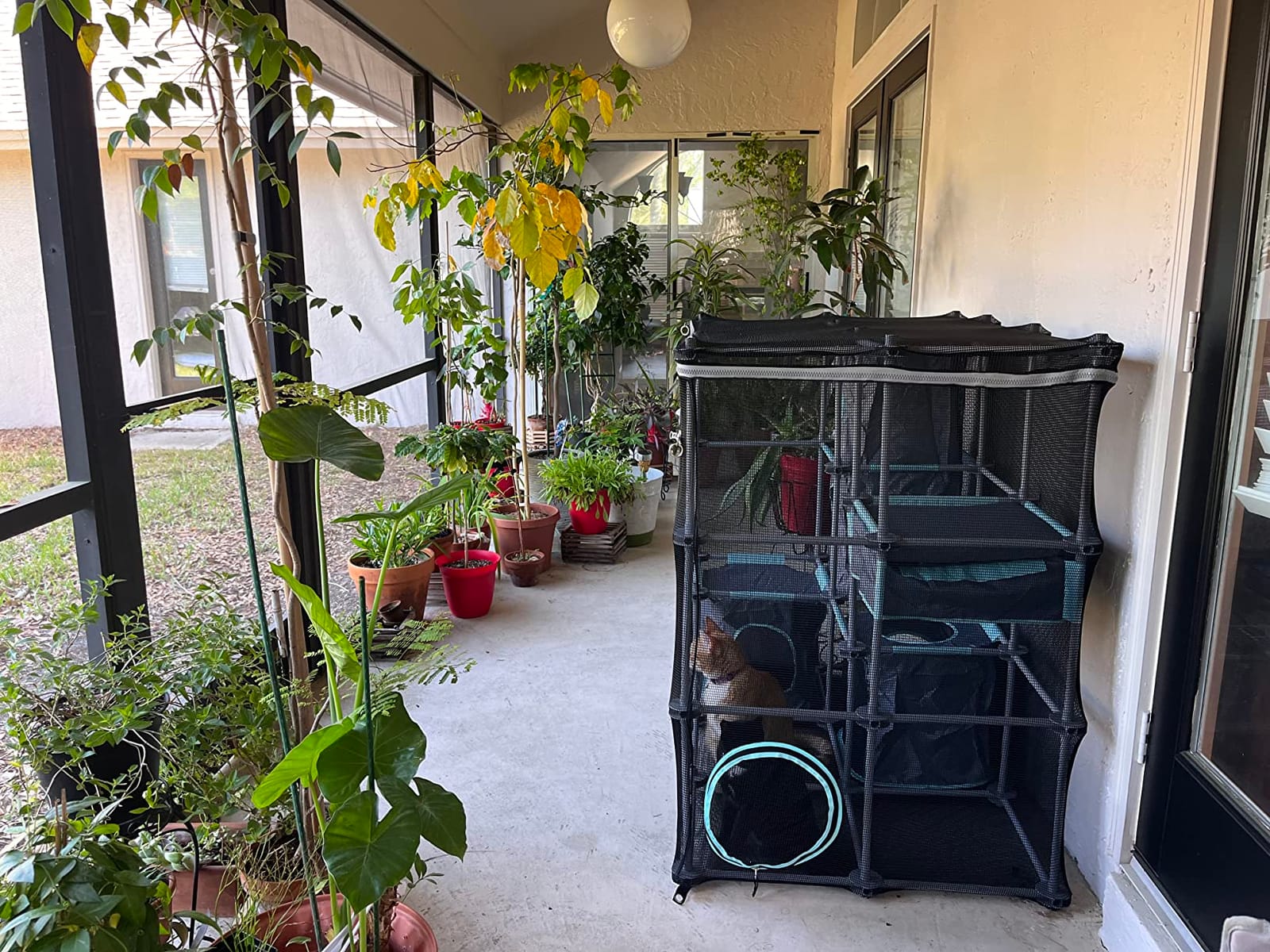 Kitty City Outdoor Catio Furniture and Play Kits for Cats, Outdoor Mega Kit customer photo 2