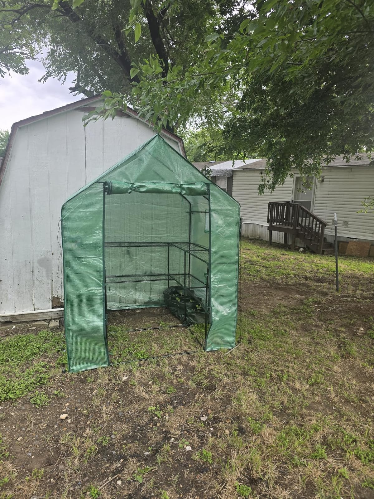 SUNGIFT Walk-in Greenhouse, 57 x 61 x 80 in, 3 Tiers 10 Shelves | Outdoor Greenhouse Kit for Herbs, Flowers, Seedlings, and Small Pots, with Roll-up Door, Side Windows, and No-tool Setup customer photo 1