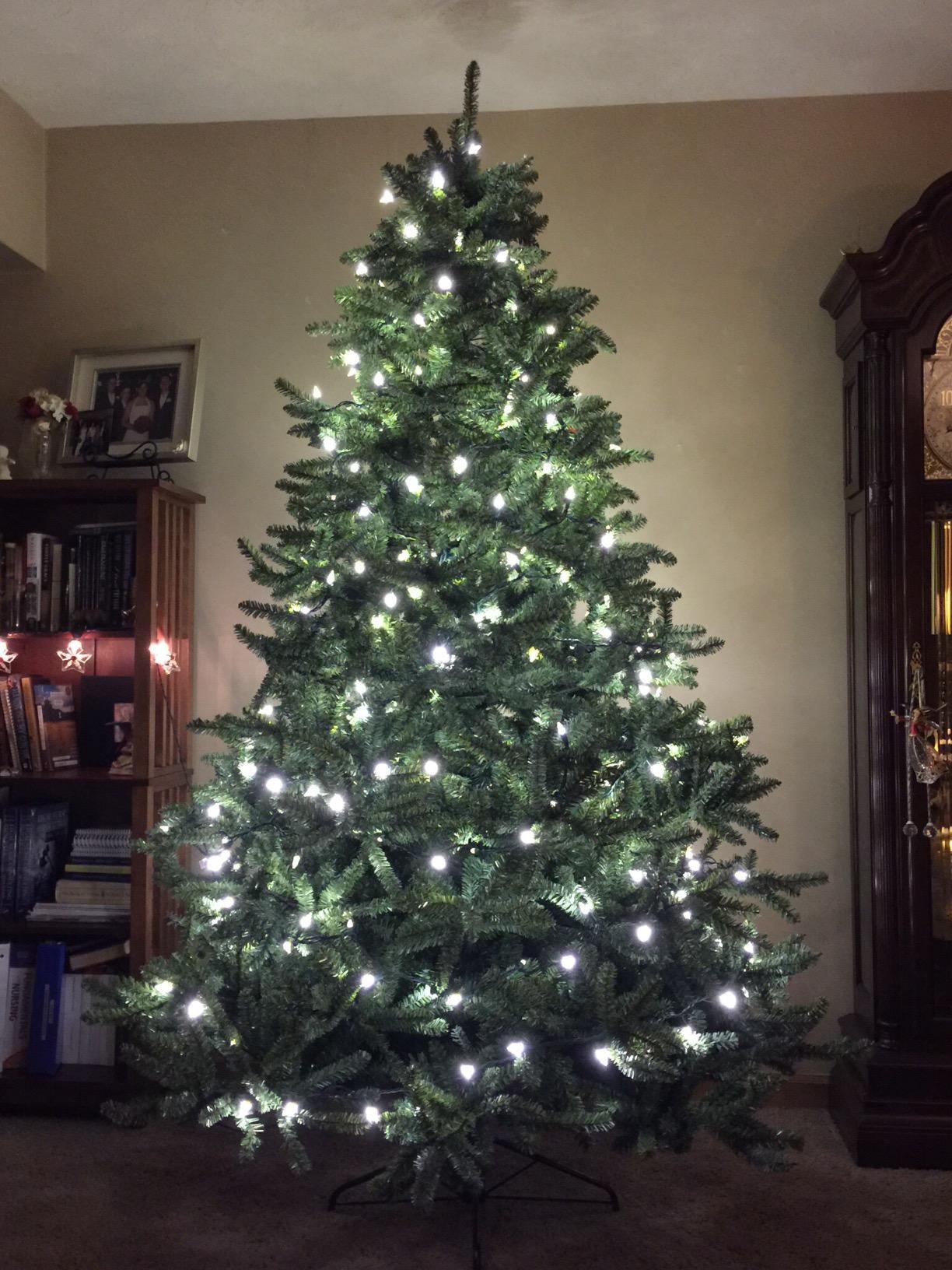 Balsam Hill 7.5ft Pre-Lit Classic Blue Spruce - Artificial Christmas Tree with 2,960+ Tips, 1,000 Clear LED Lights, Easy Plug Technology & Premium Stand for Indoor Holiday Decorating customer photo 2