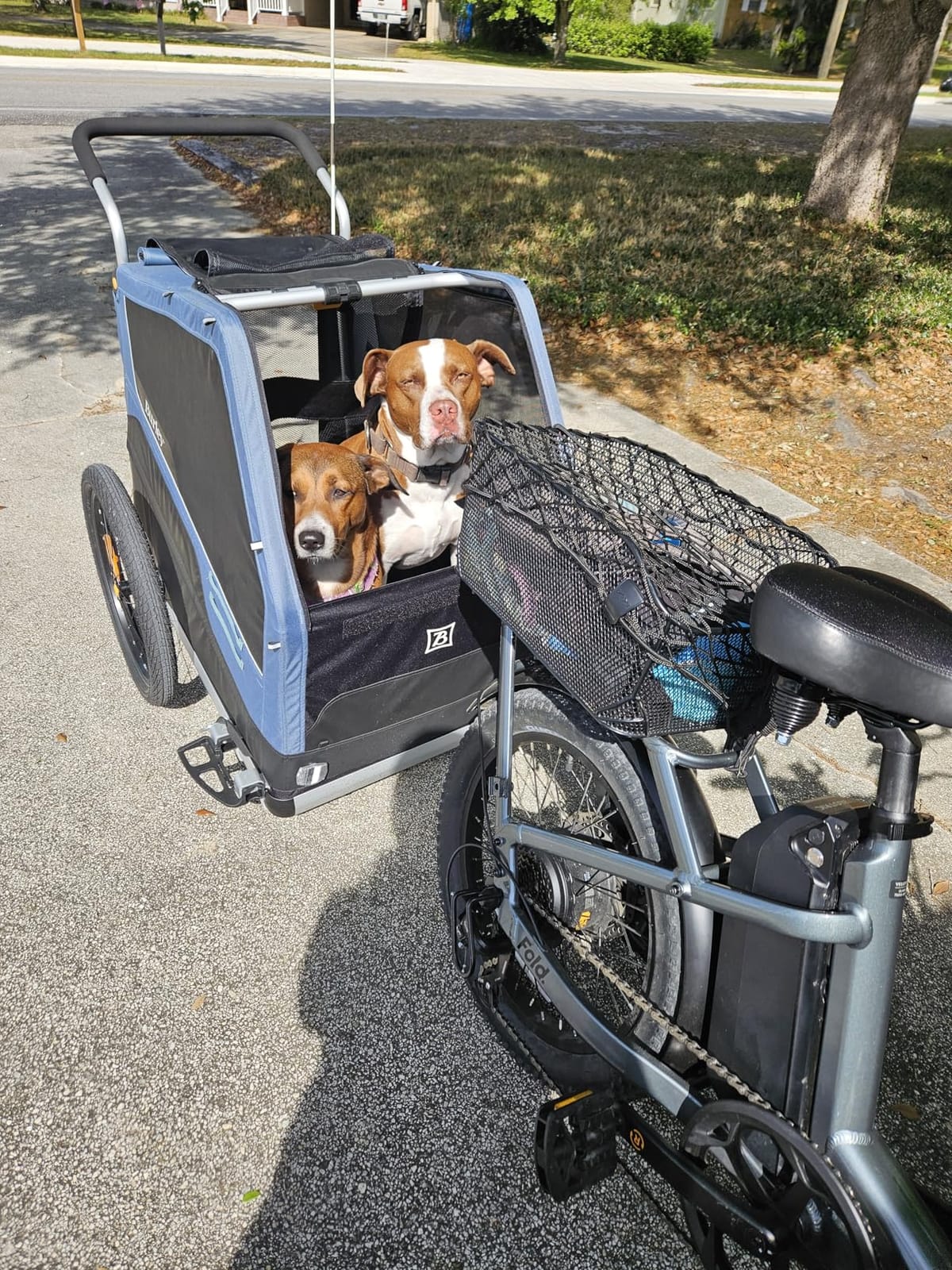 Burley Bark Ranger Pet Bike Trailer customer photo 1