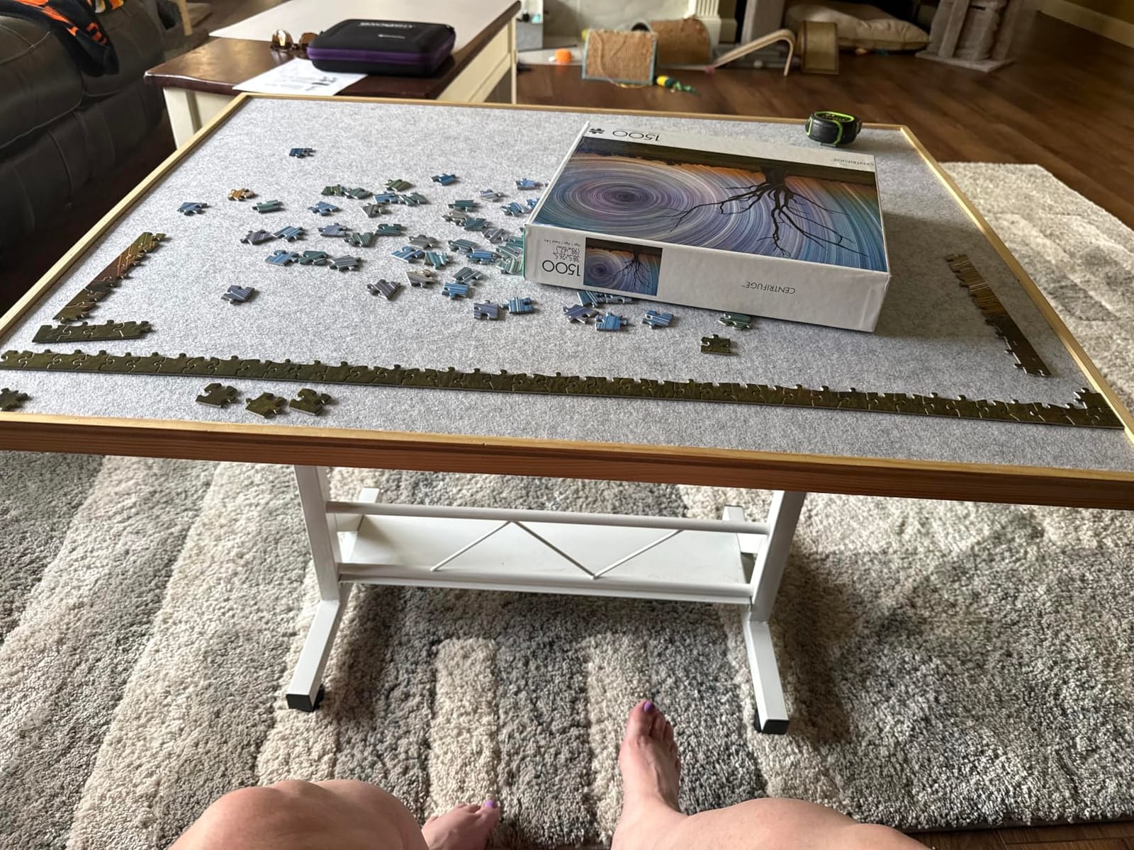 Buffalo Games - Lincoln Harrison - Centrifuge - 1500 Piece Jigsaw Puzzle customer photo 1