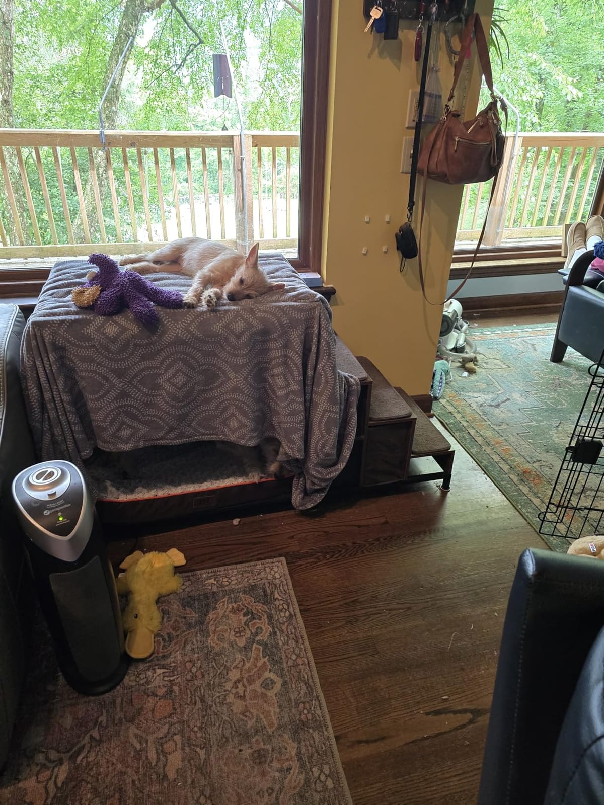 GDLF Dog Window Perch, Dog Bunk Bed with Stairs & Storage Platform | Multi-Level Platform with Foam Cushion, Non-Slip Steps and Storage Space, Designed for Small Dogs to Relax Near Windows customer photo 2