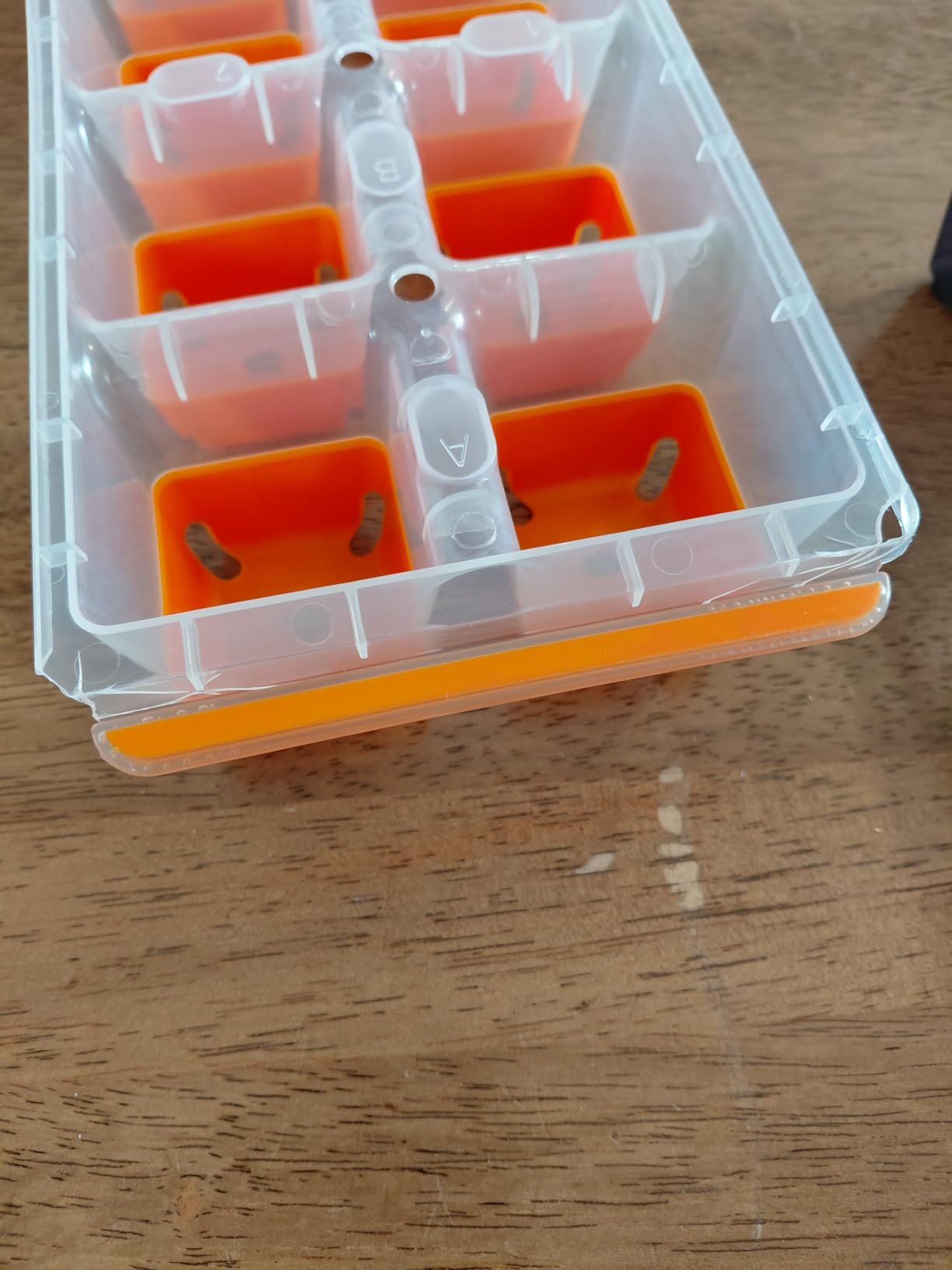 Burpee SuperSeed 36-Cell Reusable Seed Starting Tray for Indoor Seedlings | Flexible silicone cells pop out seedlings for easy transplanting. Ideal for starting vegetable, flower and herb seeds indoor. customer photo 1