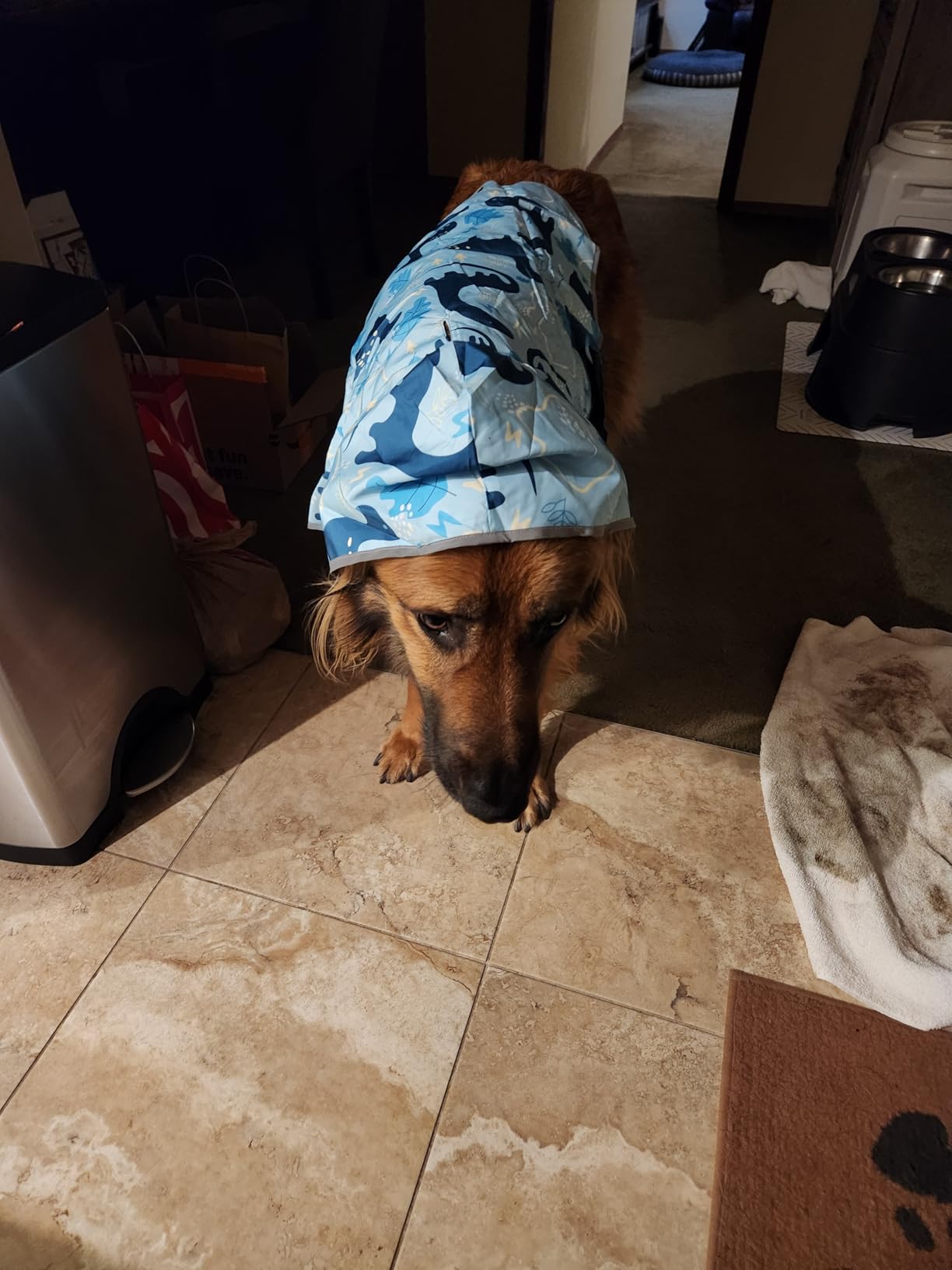 HDE 2-in-1 Reversible Dog Raincoat Hooded Poncho Rain Jacket Teal Dino L customer photo 2