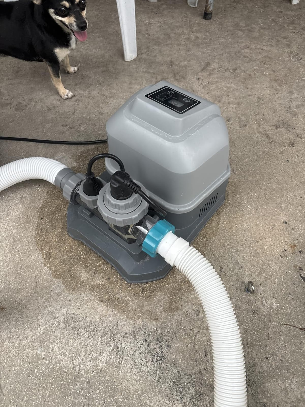 Bestway Flowclear Hydrogenic 6 G/H Digital Self Cleaning Saltwater Chlorinator with Adapters and pH Test Strips for Above Ground Swimming Pool customer photo 2