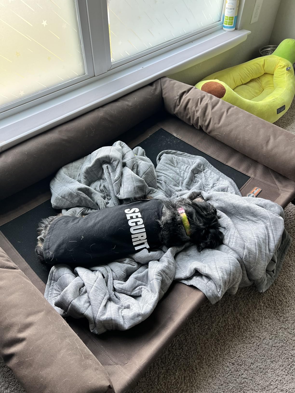 K&H Outdoor Elevated Dog Bed, Bolster Pet Cot, Medium 32x25in, Charcoal | Pet Cot for Medium & Large Pets, Washable Mesh Center Hammock with Removable Washable Bolsters, Indoor / Outdoor Dog Bed customer photo 1