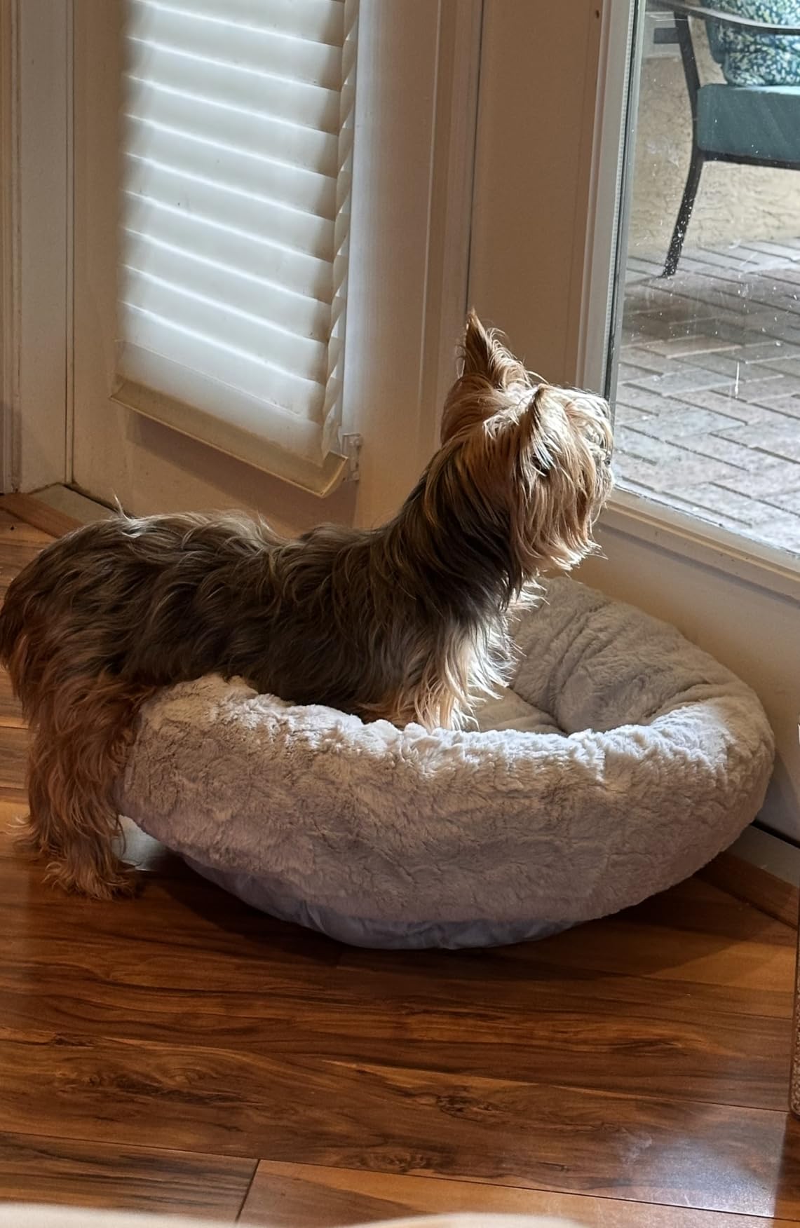 Best Friends by Sheri The Original Calming Donut Dog Bed for Large Dogs up to 100 lbs, Shag Faux Fur, Sage Green, Large, 36