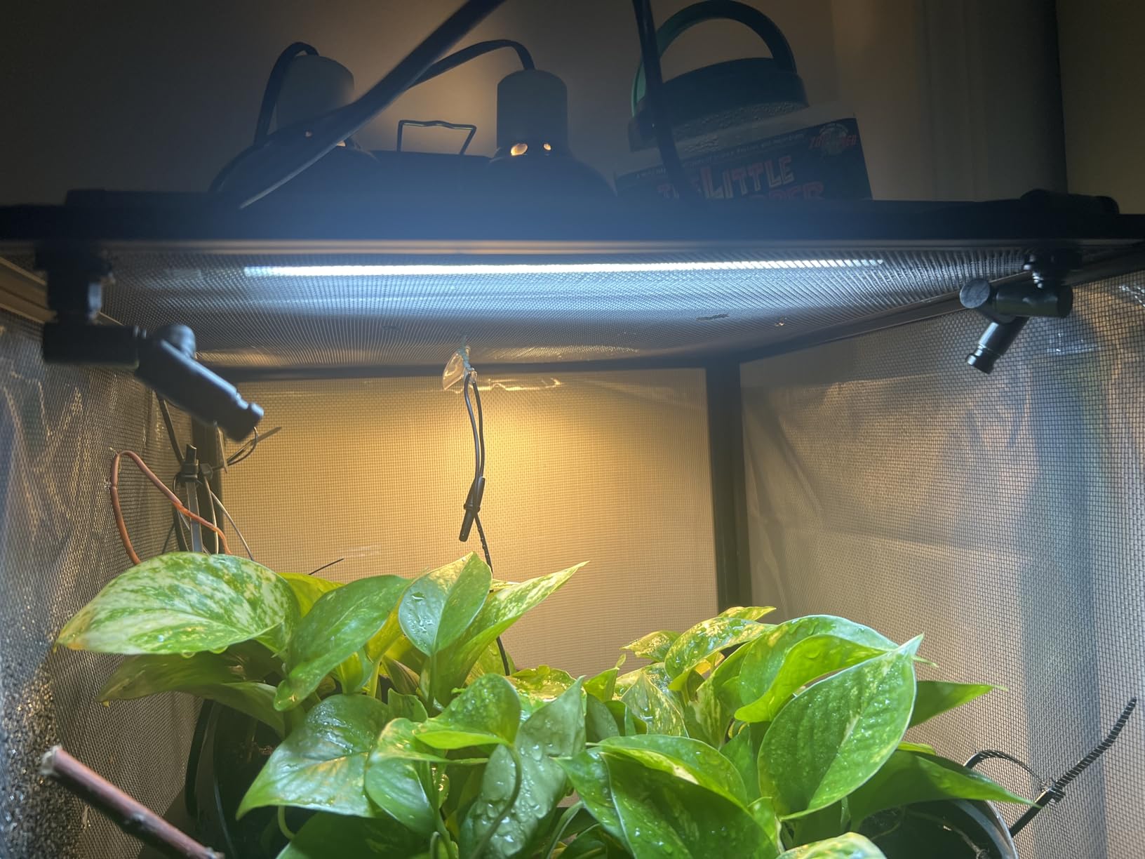Reptile Mister Automatic Misting System, Reptile Humidifiers with Smart Timing Controller, Terrariums Humidifier with 360°Adjustable Misting Nozzles, Rainforest Ecosystem Sprayer customer photo 1