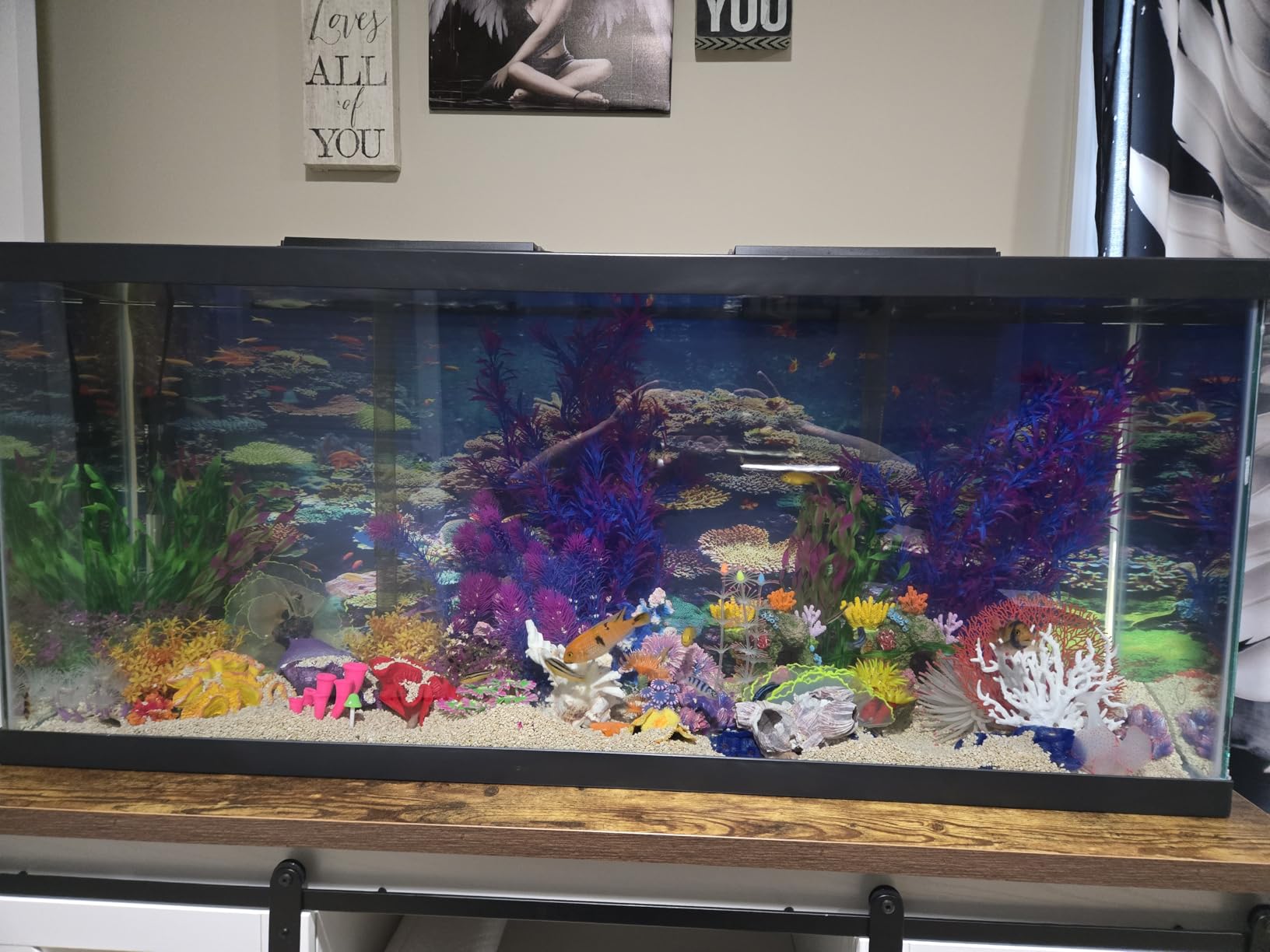 Tetra LED 55 Gallon Complete Fish Tank Kit for Freshwater Fish customer photo 1