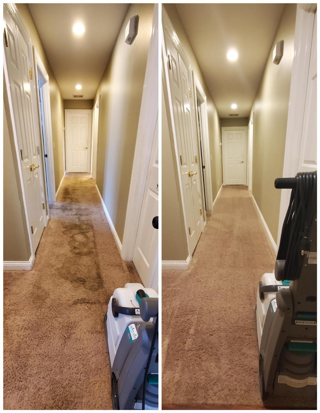 BISSELL Big Green PET PRO Carpet Cleaner, XL DirtLifter PowerBrush | 8-row PowerBrush; 9-in. hose; 2 upholstery tools; Pet Pro Oxy Urine Eliminator Formula included customer photo 1