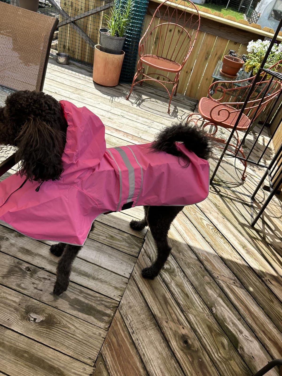 Reflective Dog Rain Coat - Waterproof Adjustable Pet Rain Jacket, Lightweight Dog Hooded Poncho Raincoat for Small to X-Large Dogs and Puppies customer photo 1