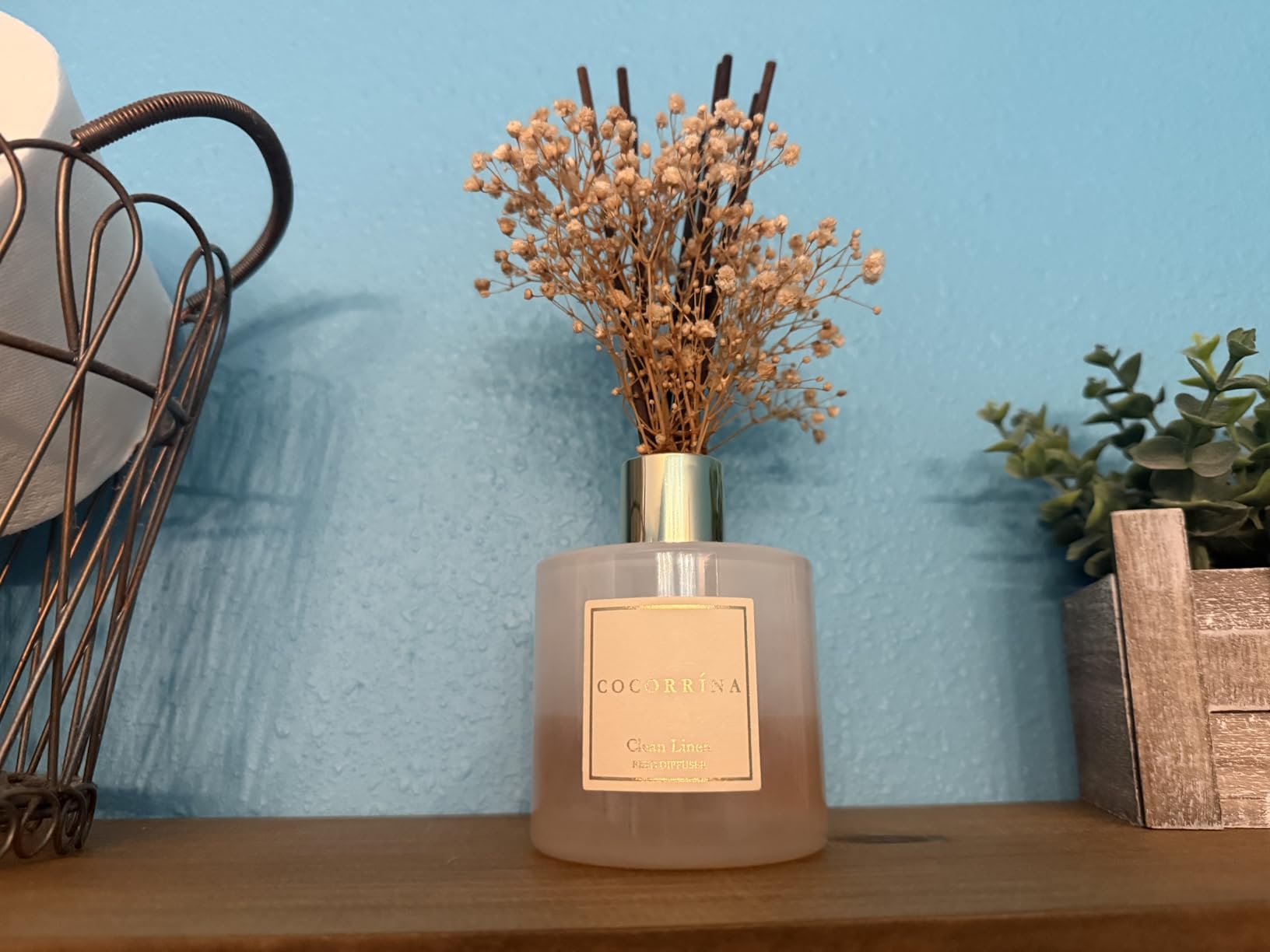 Cocorrina Reed Diffuser Set, Clean Linen 6.7 fl oz Scented Diffuser with Sticks Home Fragrance Reed Diffuser for Bathroom Shelf Decor customer photo 1