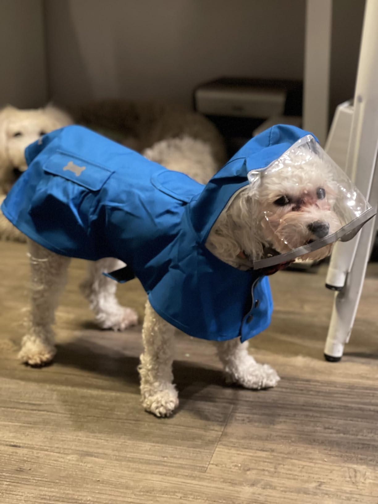 Waterproof Dog Raincoat, Adjustable Reflective Lightweight Pet Rain Clothes with Poncho Hood (Medium, Blue) customer photo 1