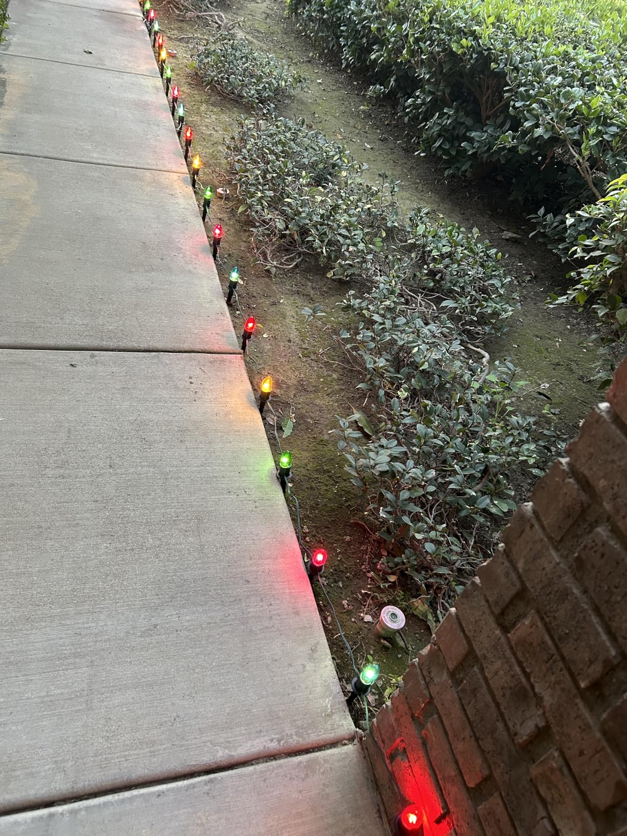TIORIY Outdoor Warm Christmas Pathway Lights, 24.2ft 20 Lights with Stakes, Outside Walkway Marker, C9 Christmas Decor, Driveway Decorations, Waterproof, Hanging or Plugging customer photo 1