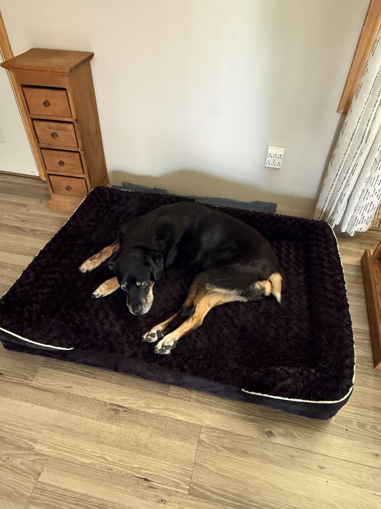 WNPETHOME Orthopedic Washable Dog Bed Large for Senior Dog Cozy Sleep | Waterproof Big Soft Dog Couch Sofa Bed for Dogs Relax with Removable Cover Supportive Comfort Pet Bed Grey 36x27 Inch customer photo 2