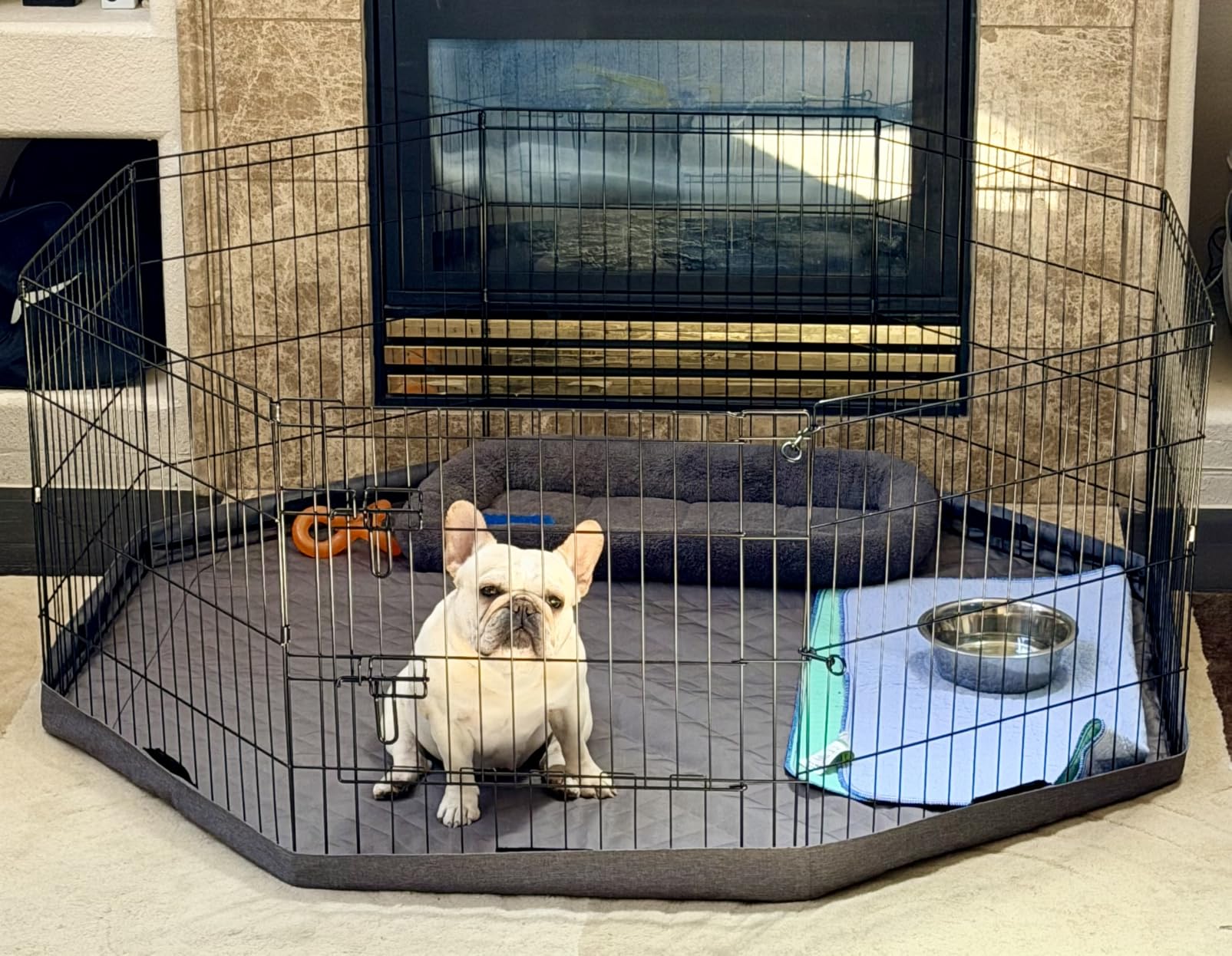 PETIME Foldable Metal Dog Exercise Pen/Pet Puppy Playpen Kennels Yard Fence Indoor/Outdoor 8 Panel 24