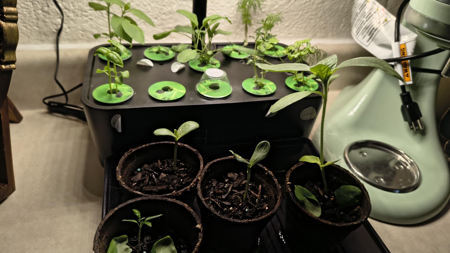 Ahopegarden Indoor Garden Hydroponics Growing System: 10 Pods Kit with LED customer photo 1